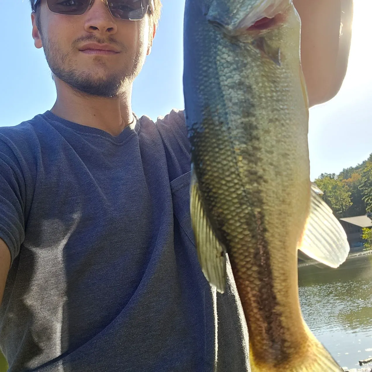 Largemouth bass caught on Fishbrain