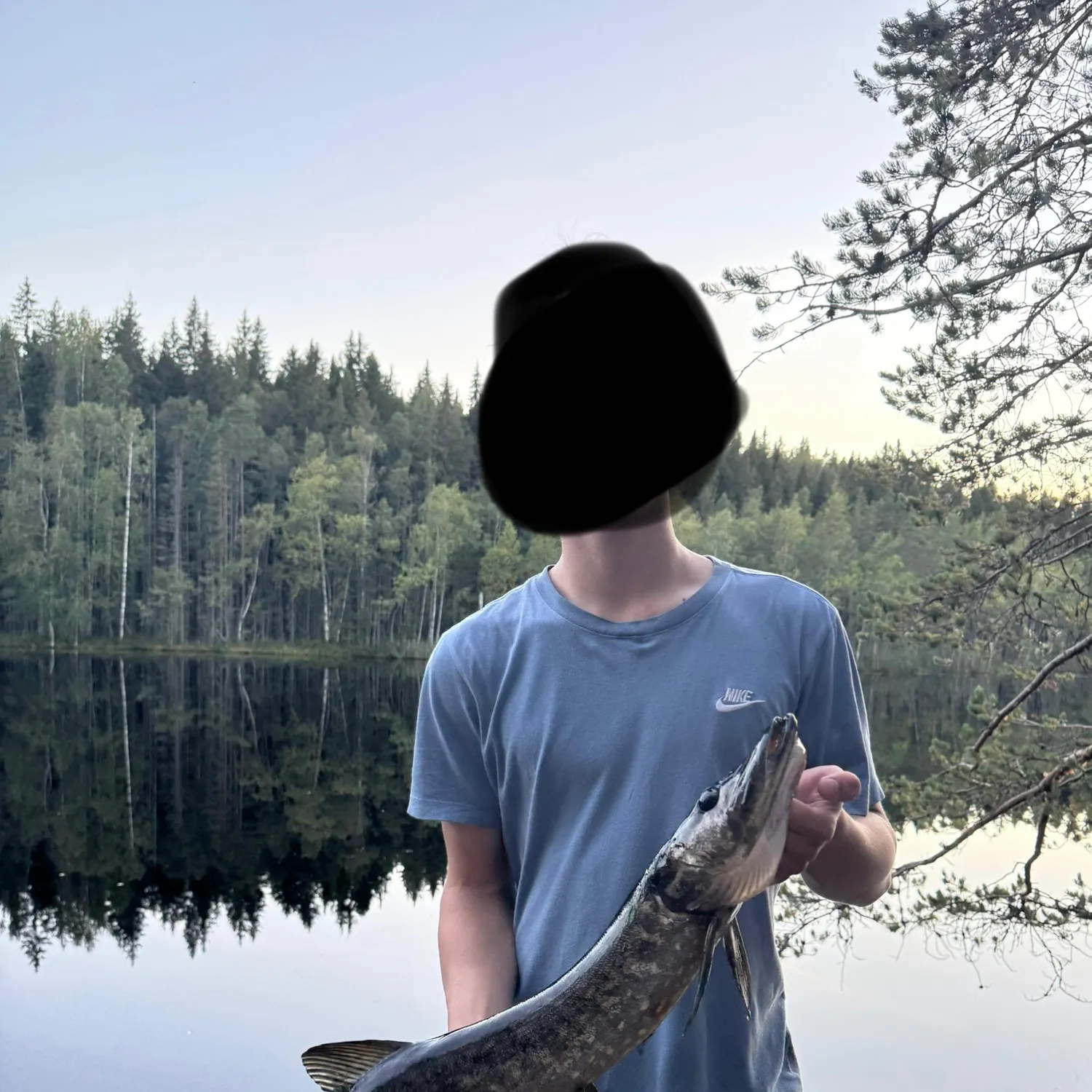 Northern pike caught on Fishbrain