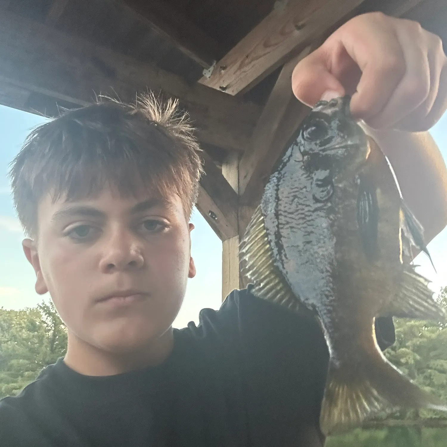 Bluegill caught on Fishbrain