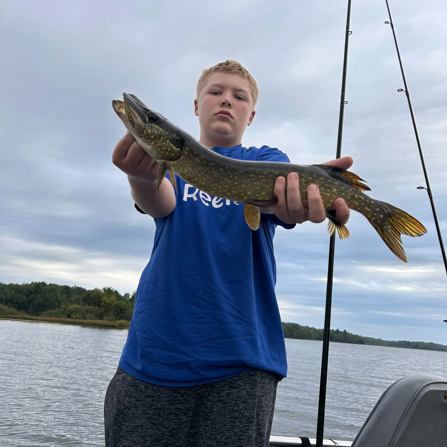 Northern pike caught on Fishbrain