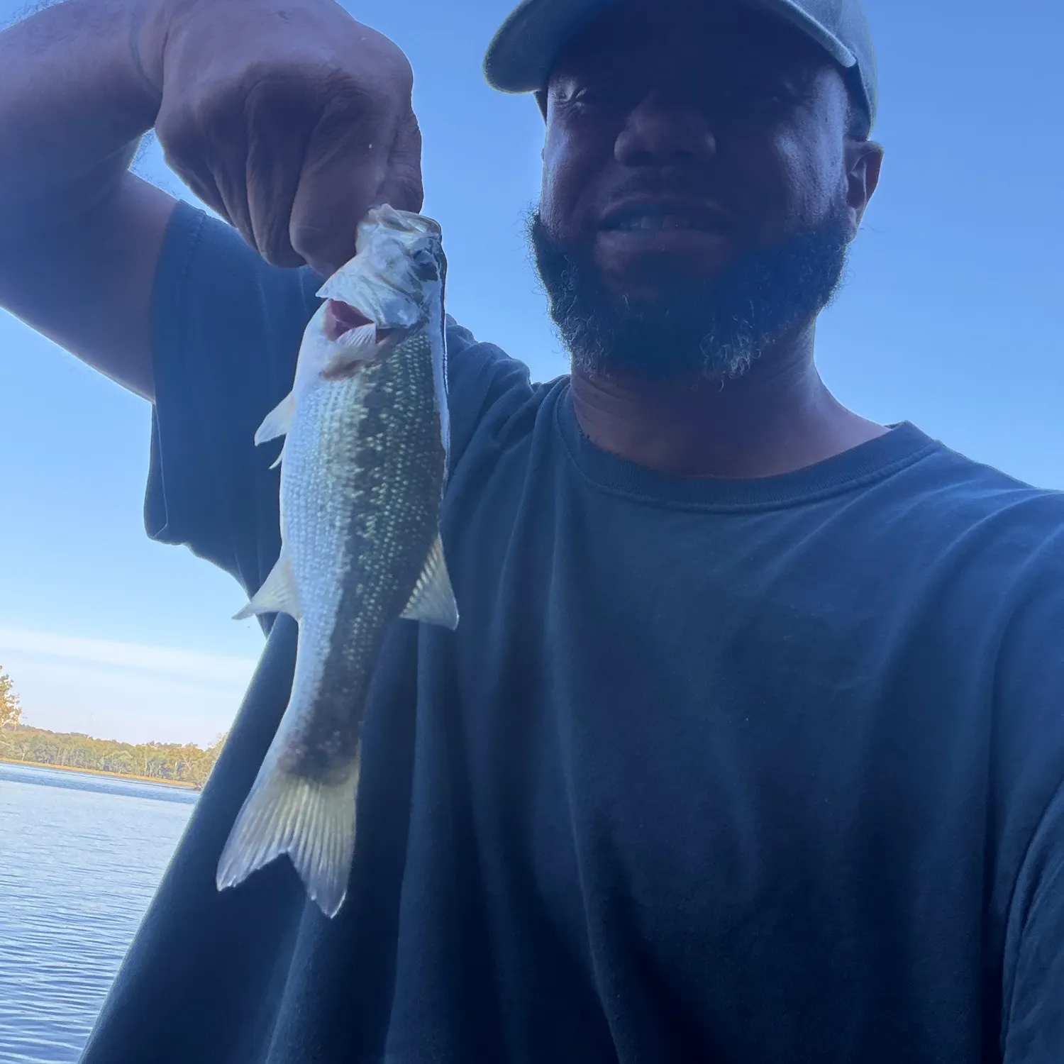 Spotted bass caught on Fishbrain