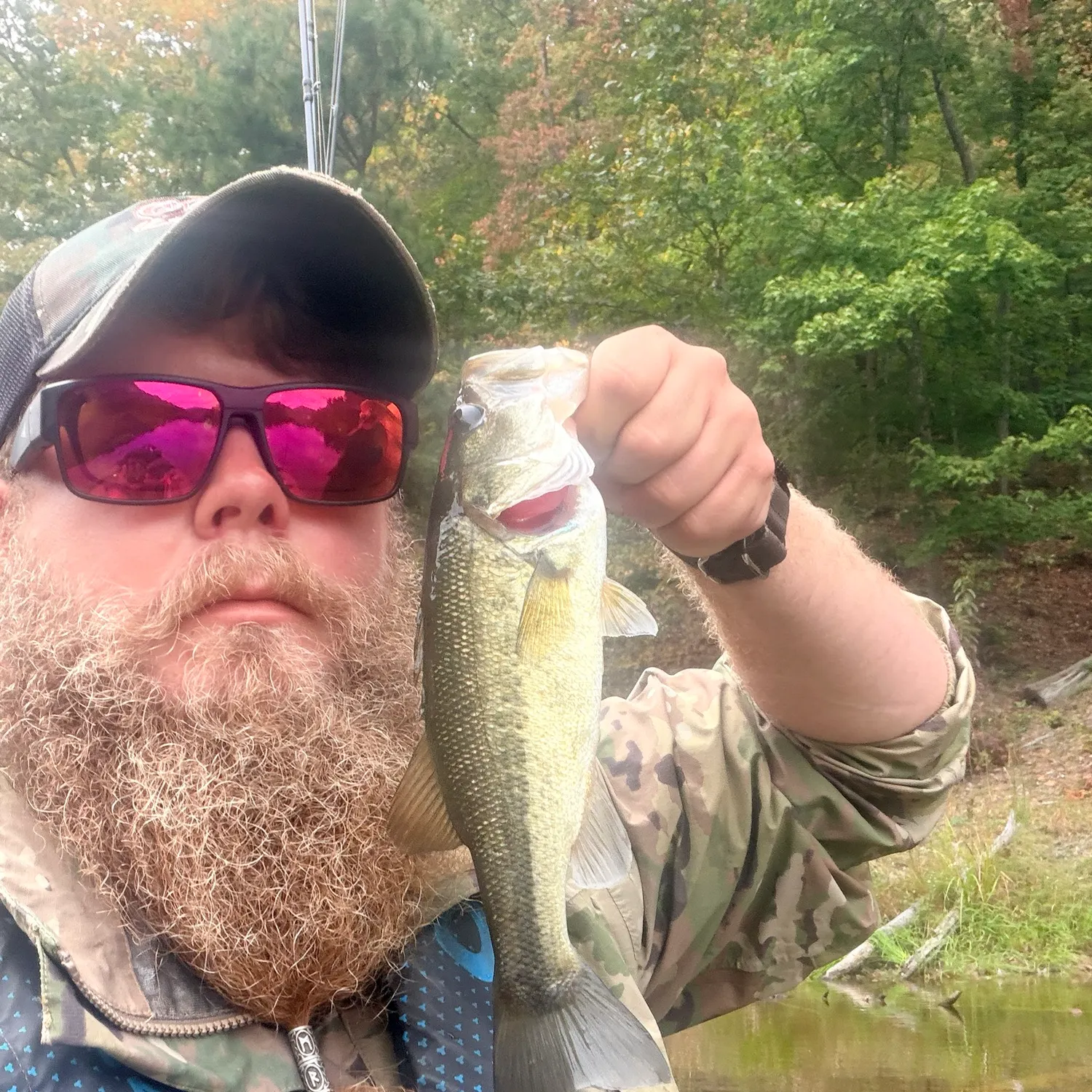 Largemouth bass caught on Fishbrain