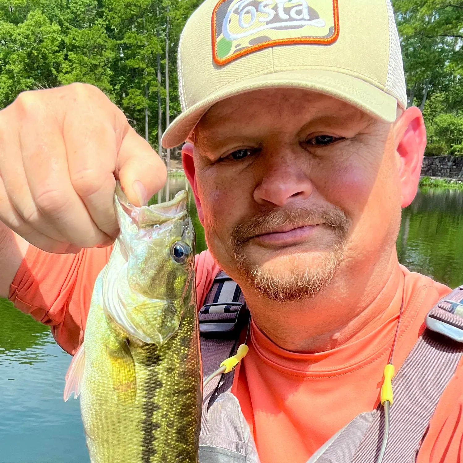 The most recent Spotted bass catches on Fishbrain