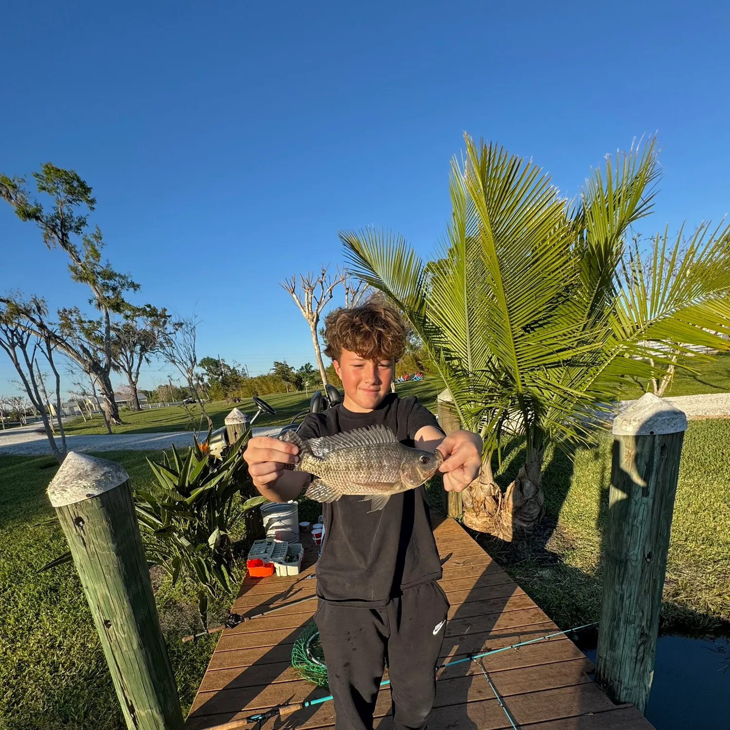 The most popular recent Italian barbel catch on Fishbrain