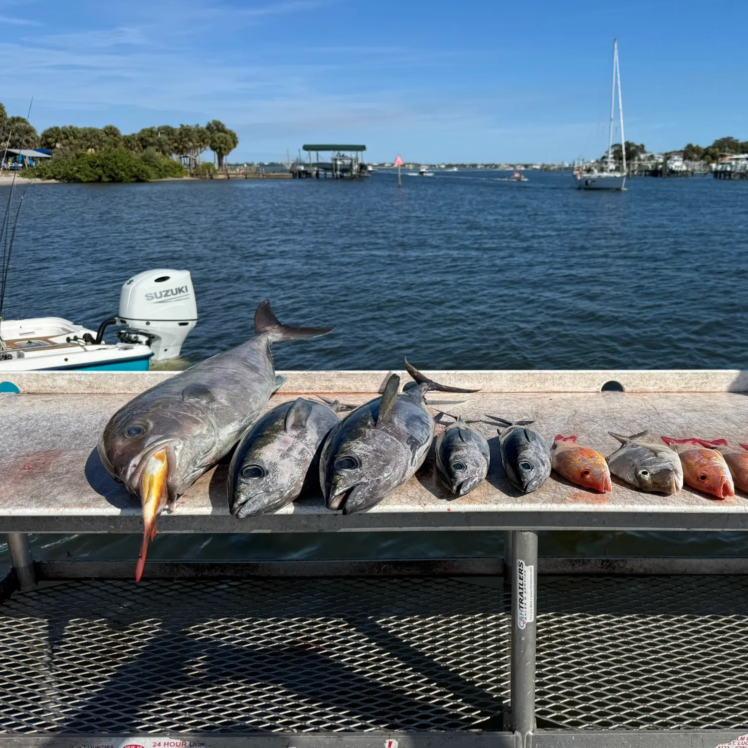 recently logged catches