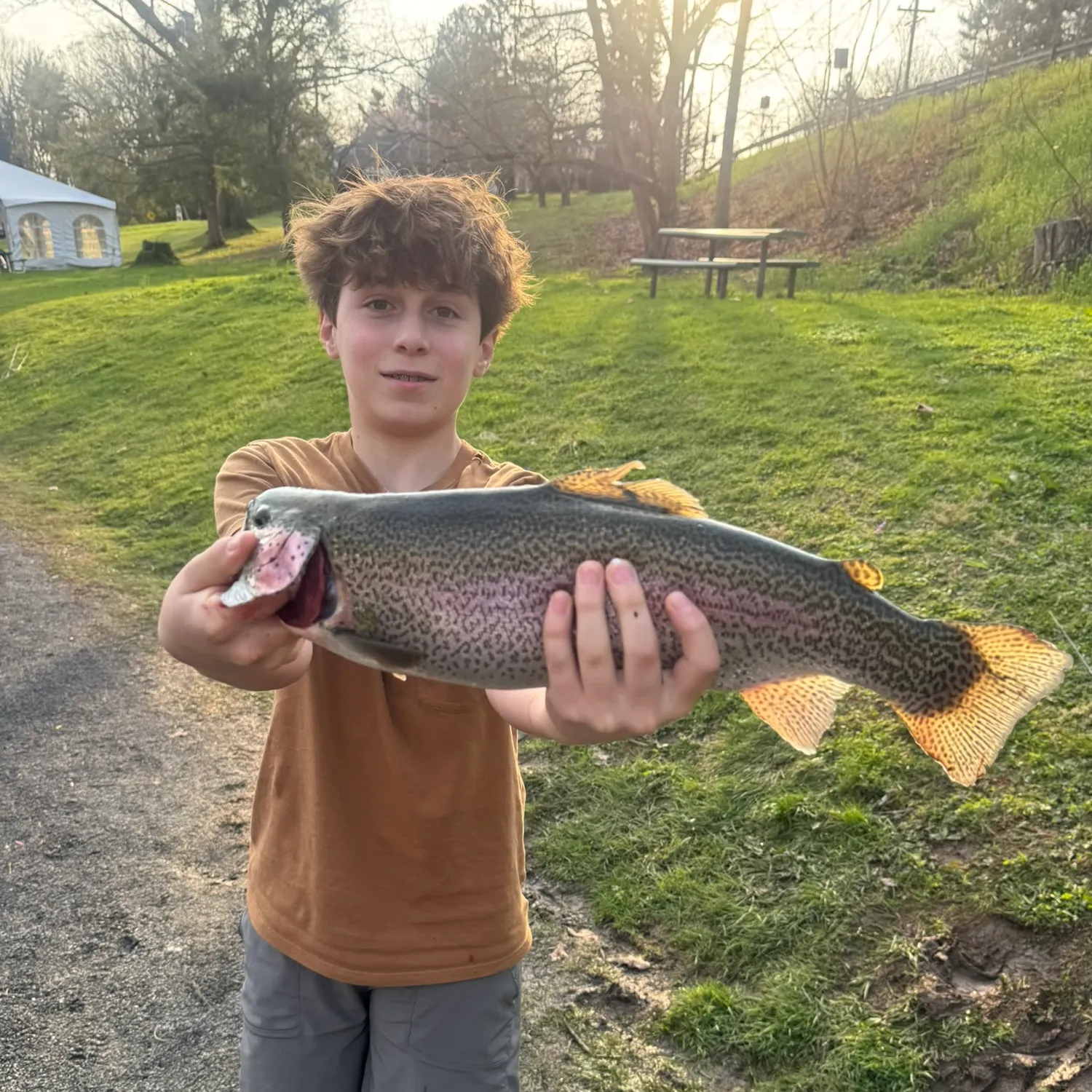The most recent Rainbow trout catches on Fishbrain