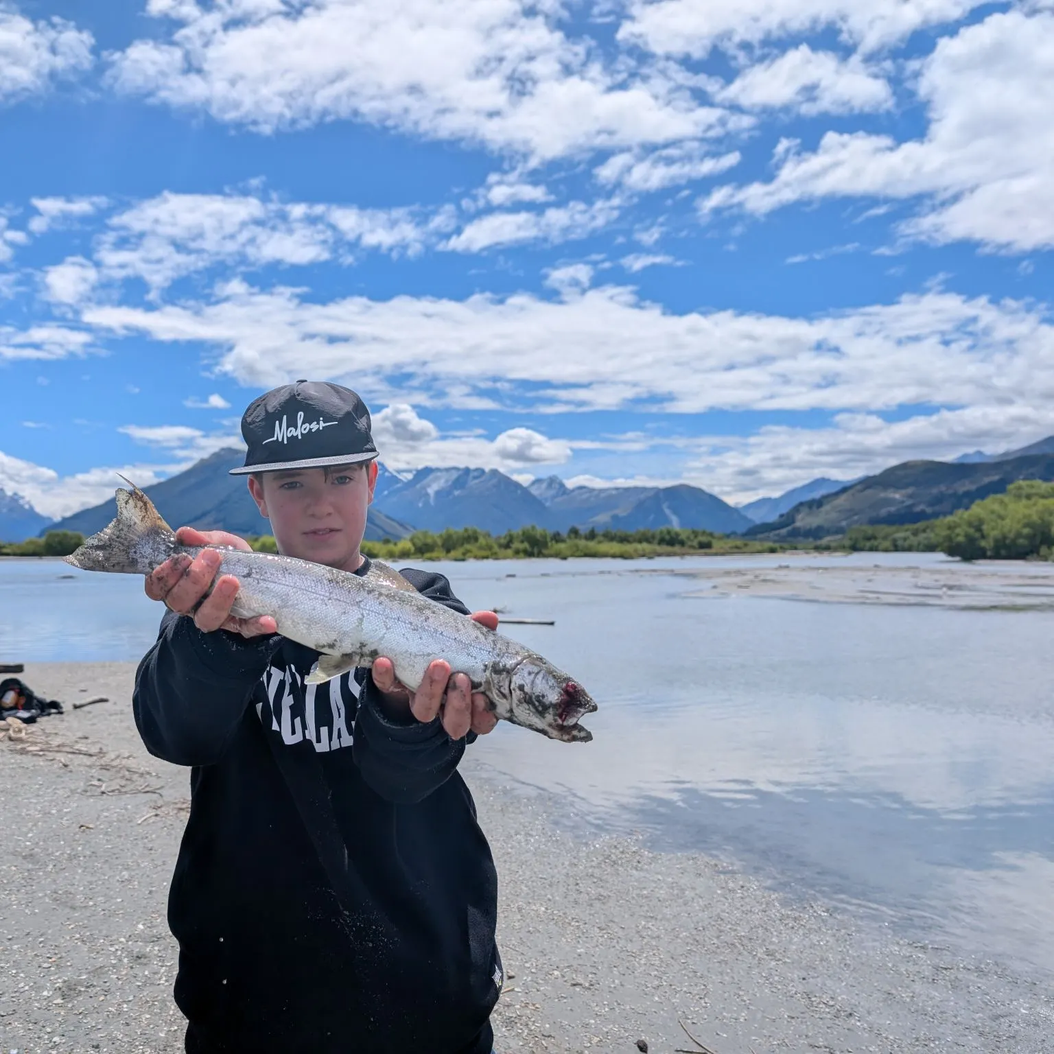 The most recent Chinook salmon catches on Fishbrain