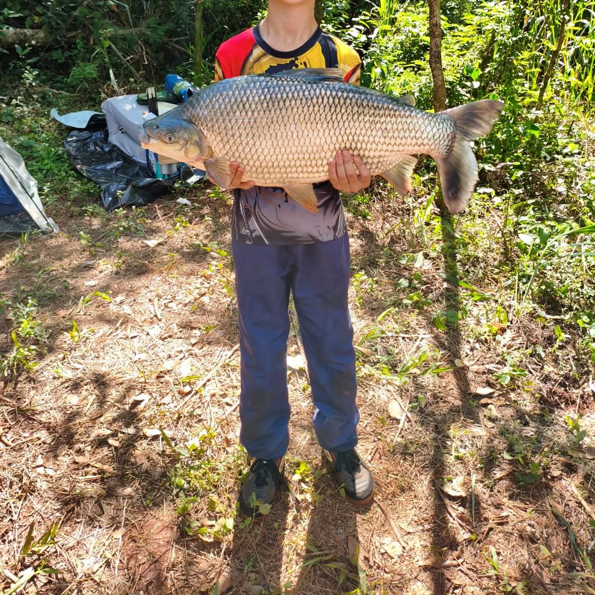 The most recent Boga catches on Fishbrain