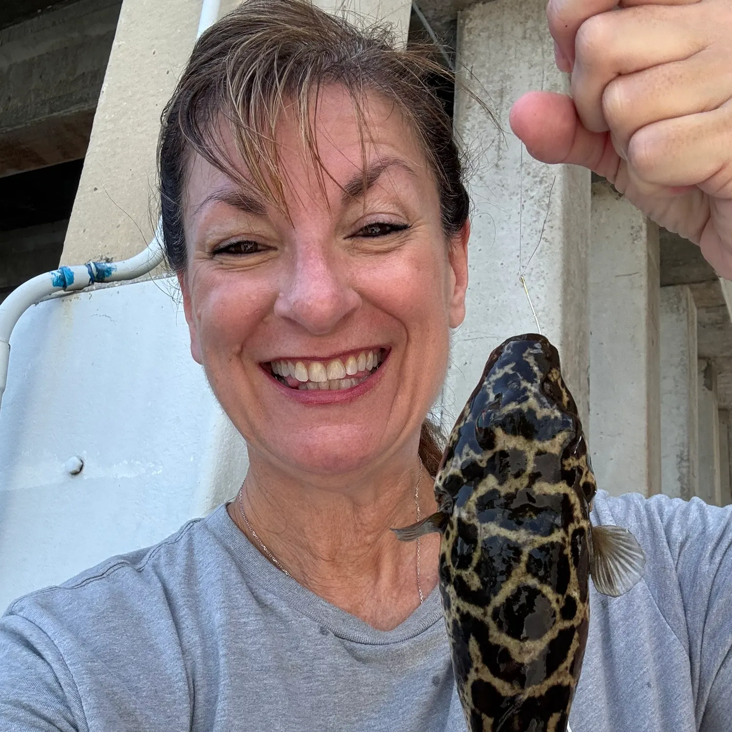 The most recent Milkspotted puffer catches on Fishbrain