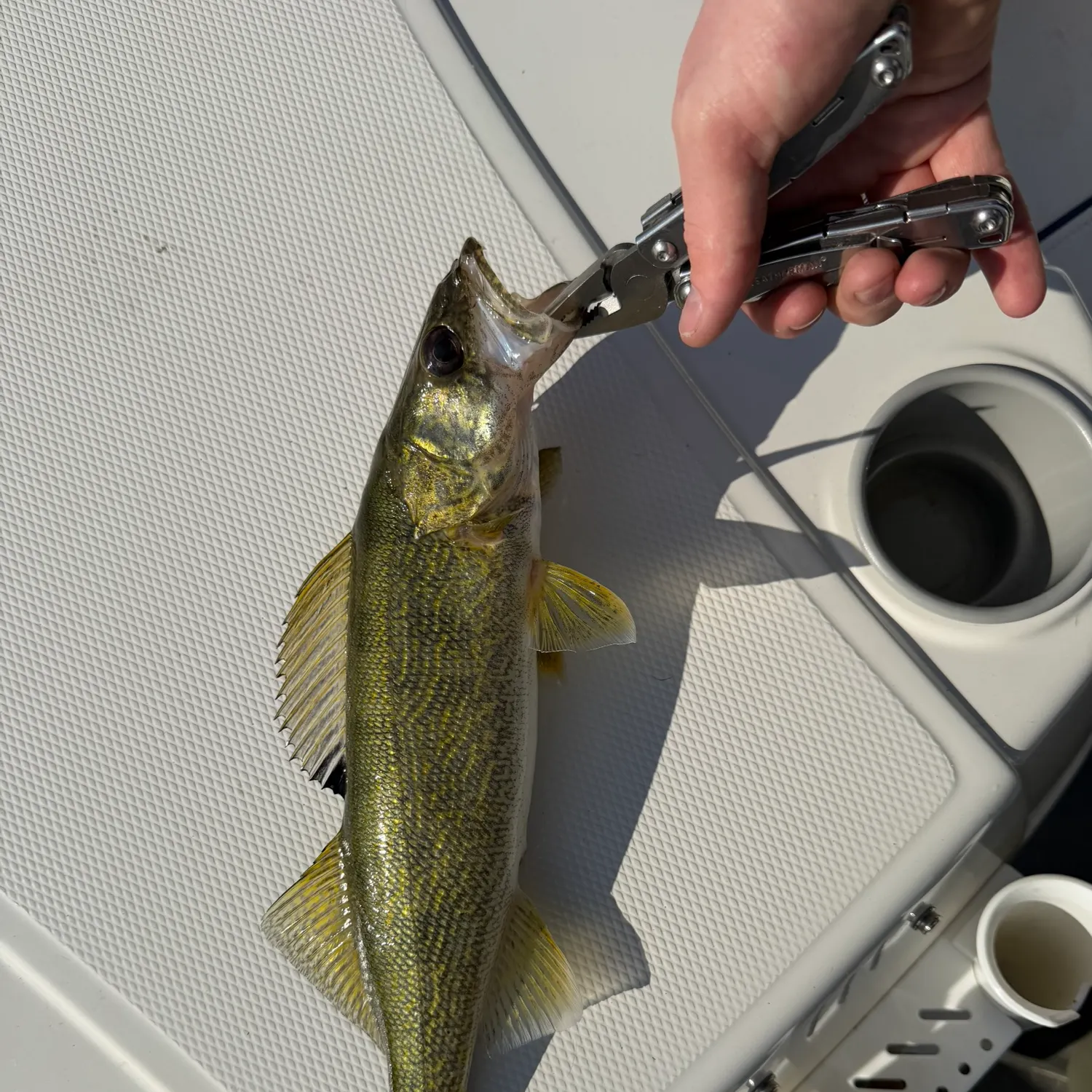 catch