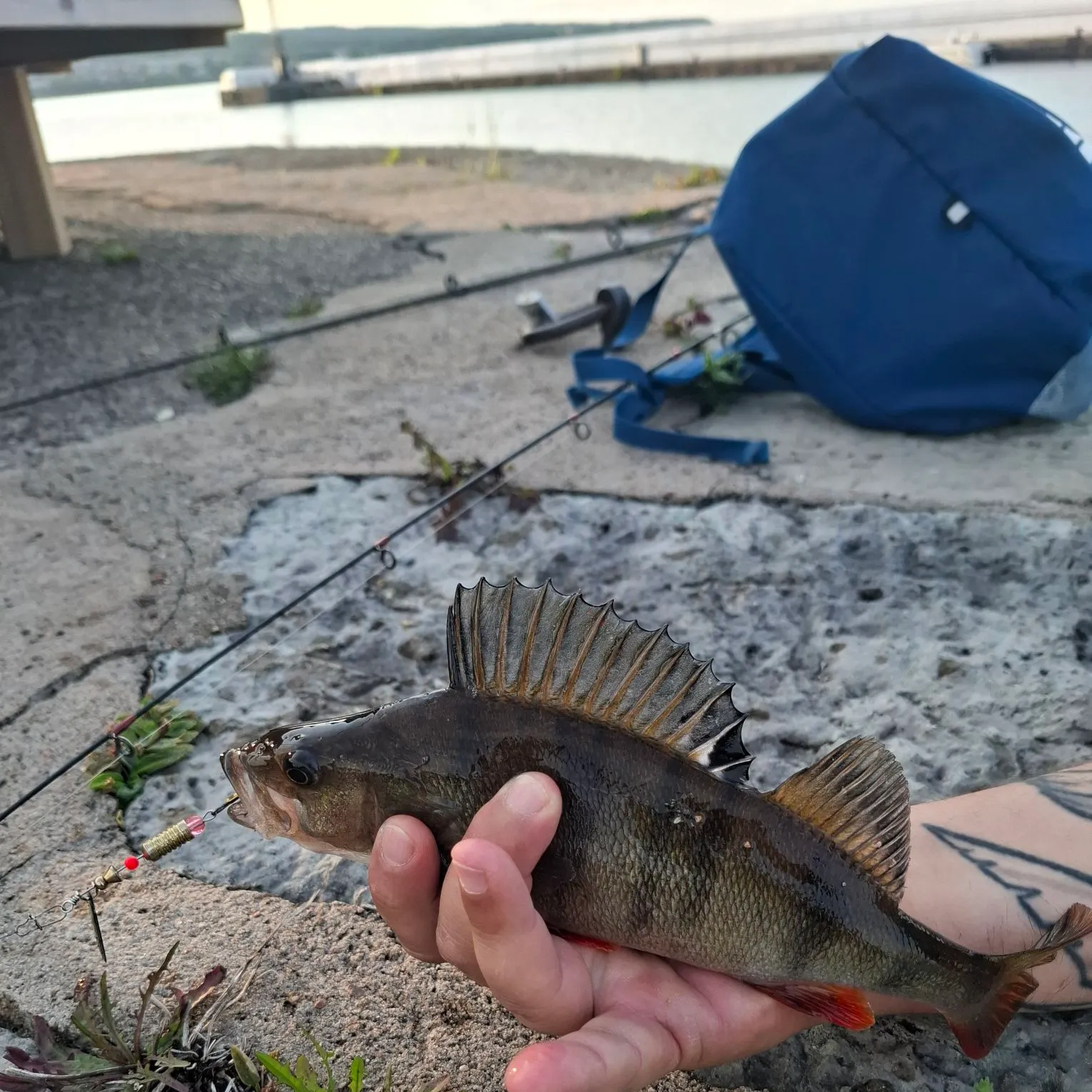 catch
