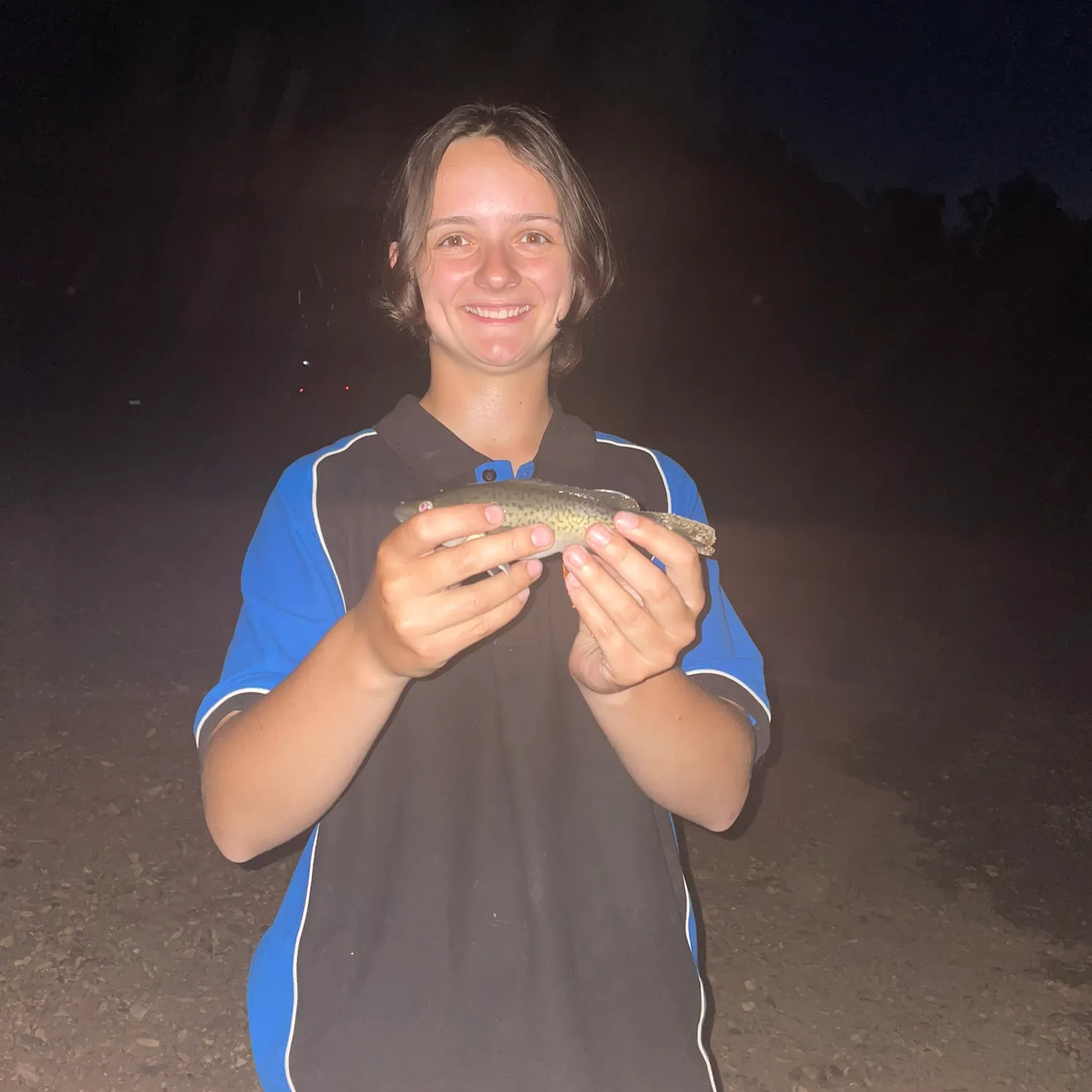 The most recent Trout cod catches on Fishbrain