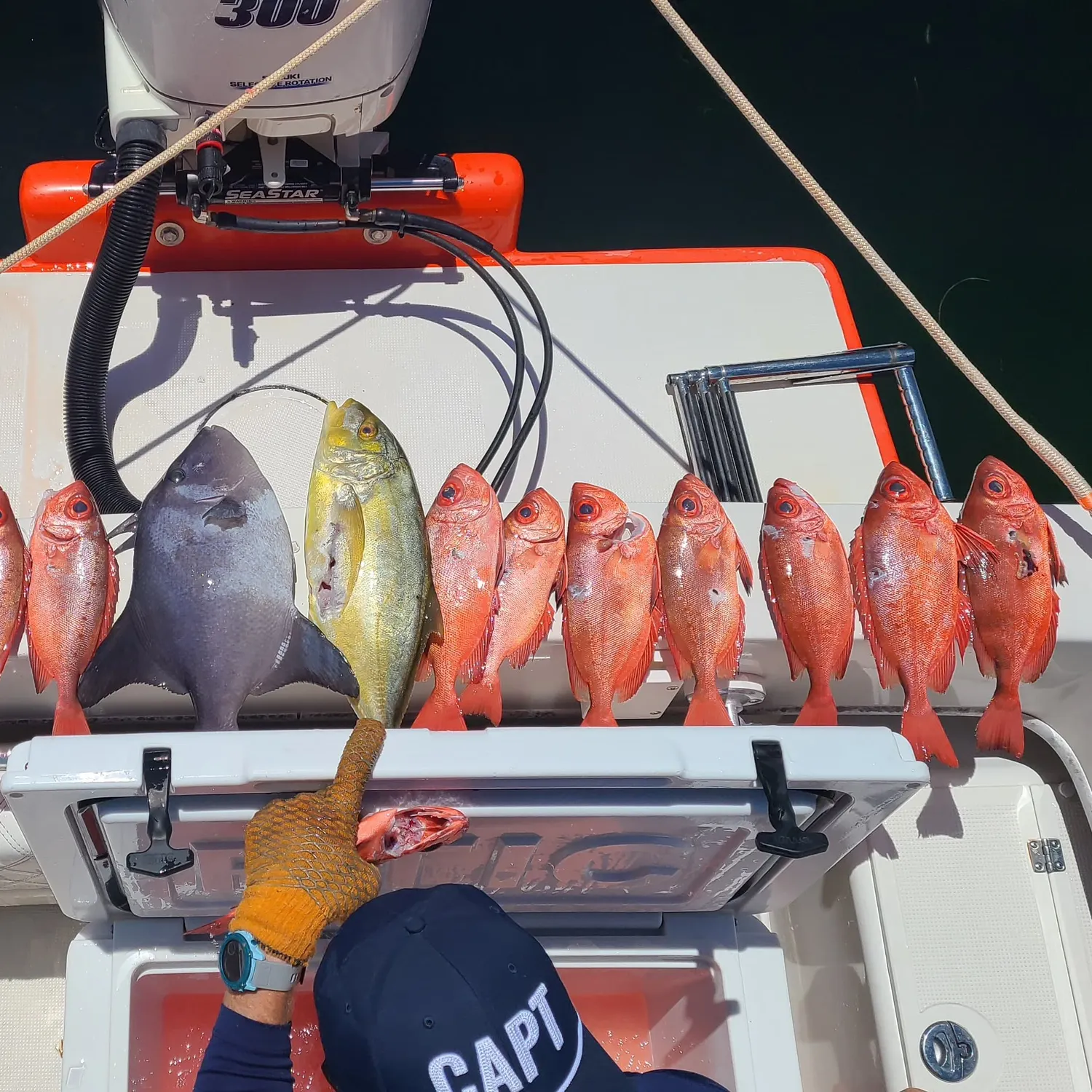 The most recent Glasseye catches on Fishbrain