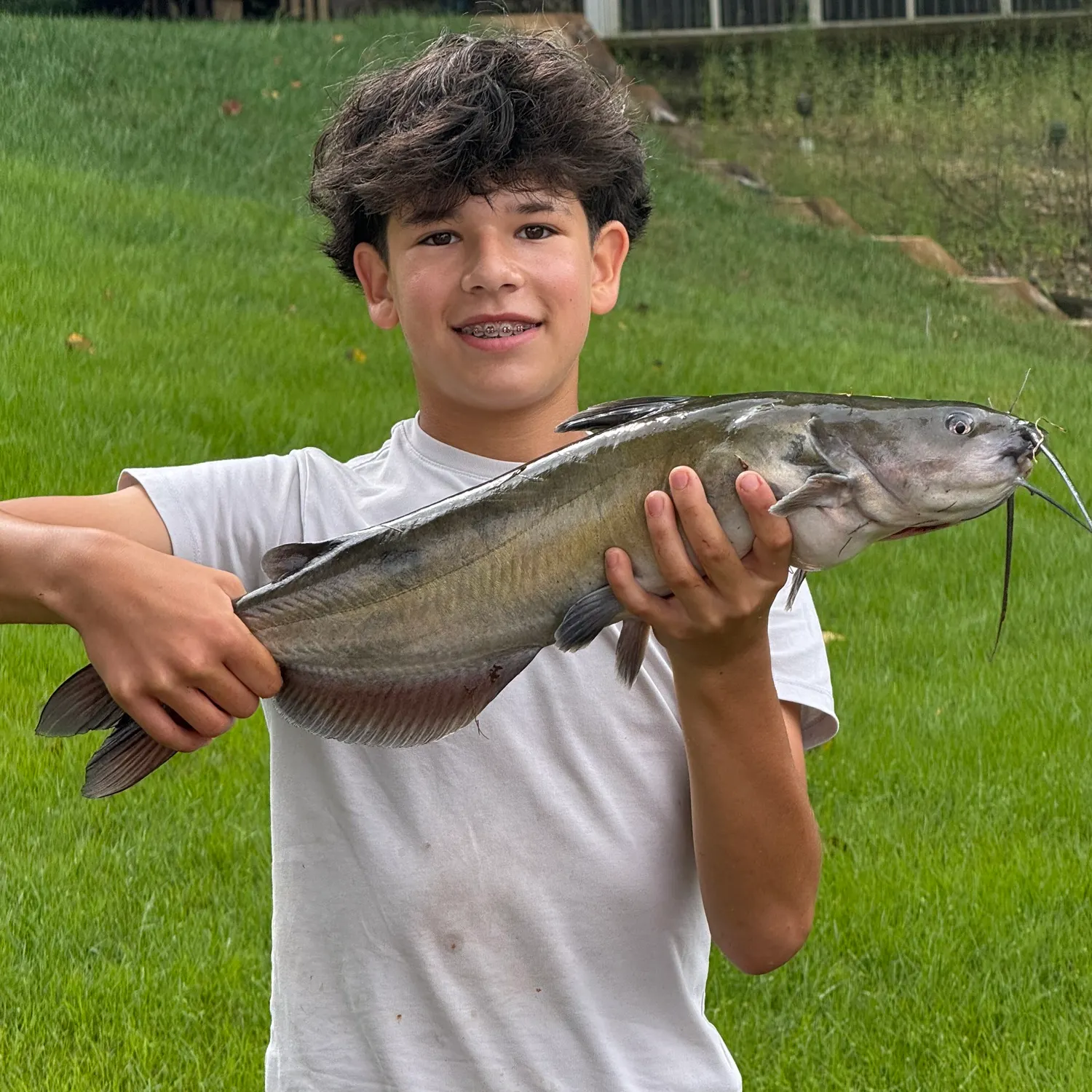 Channel catfish caught on Fishbrain
