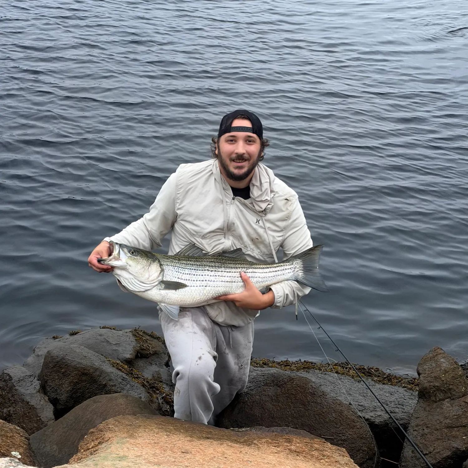 Striped bass caught on Fishbrain