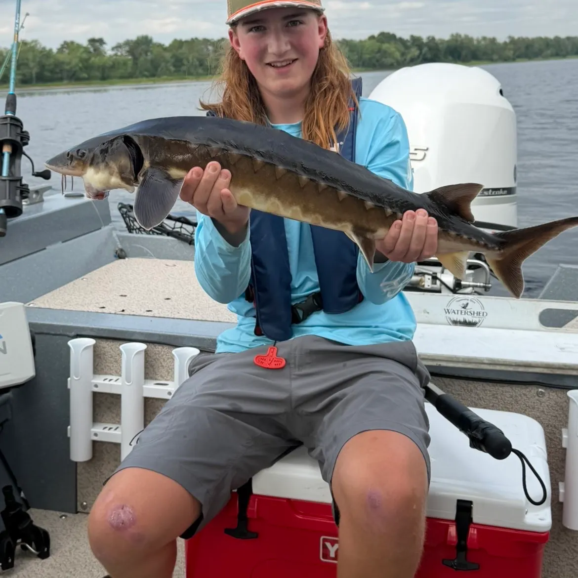 The most recent Shortnose sturgeon catches on Fishbrain