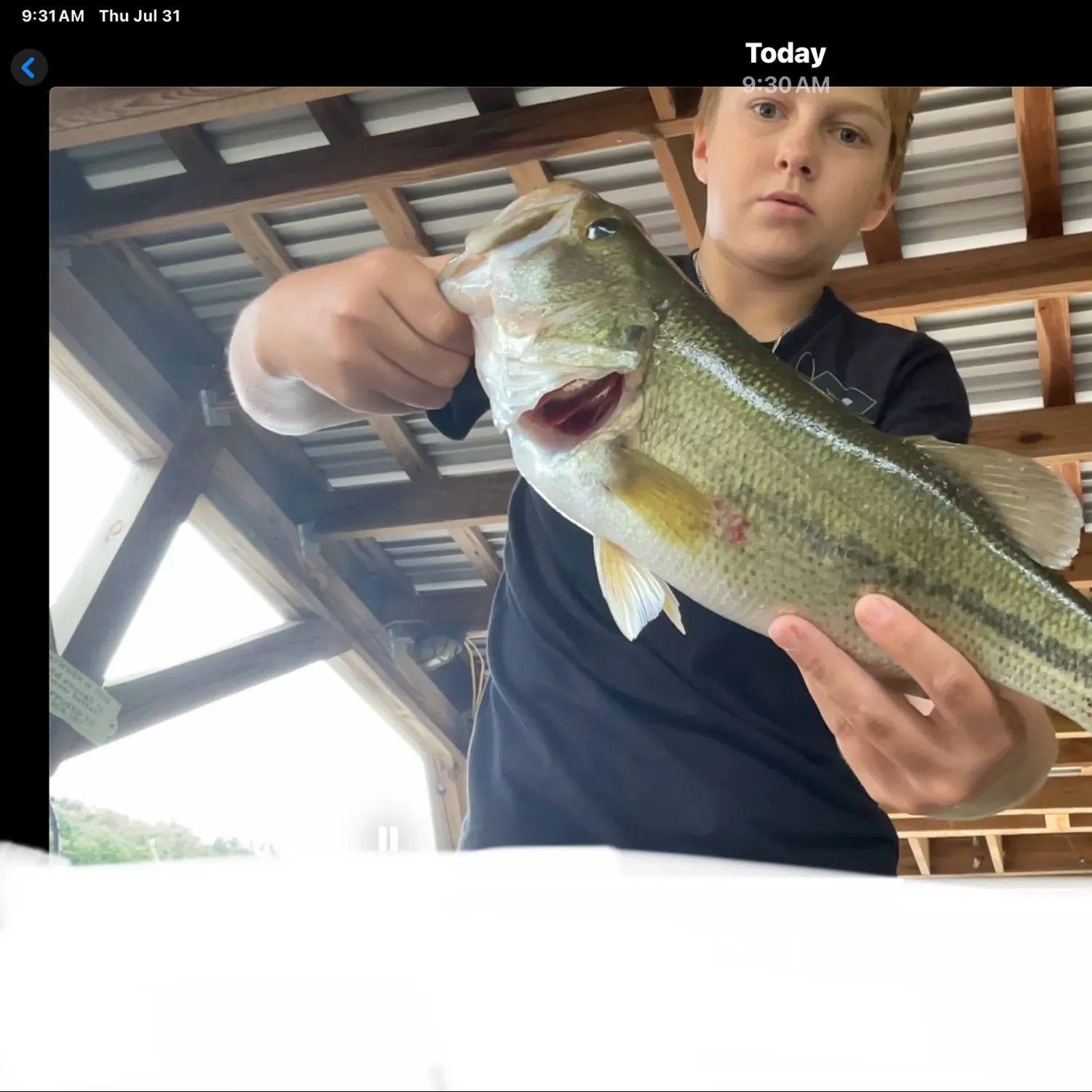 recently logged catches