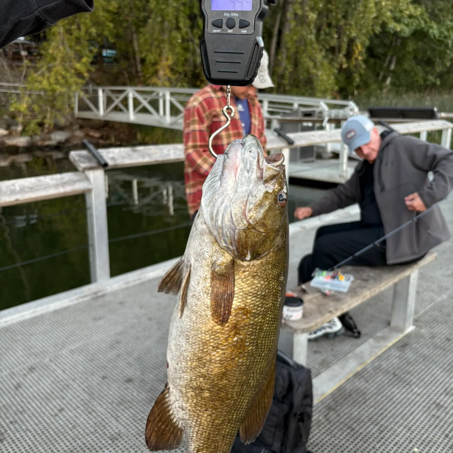 Smallmouth bass caught on Fishbrain