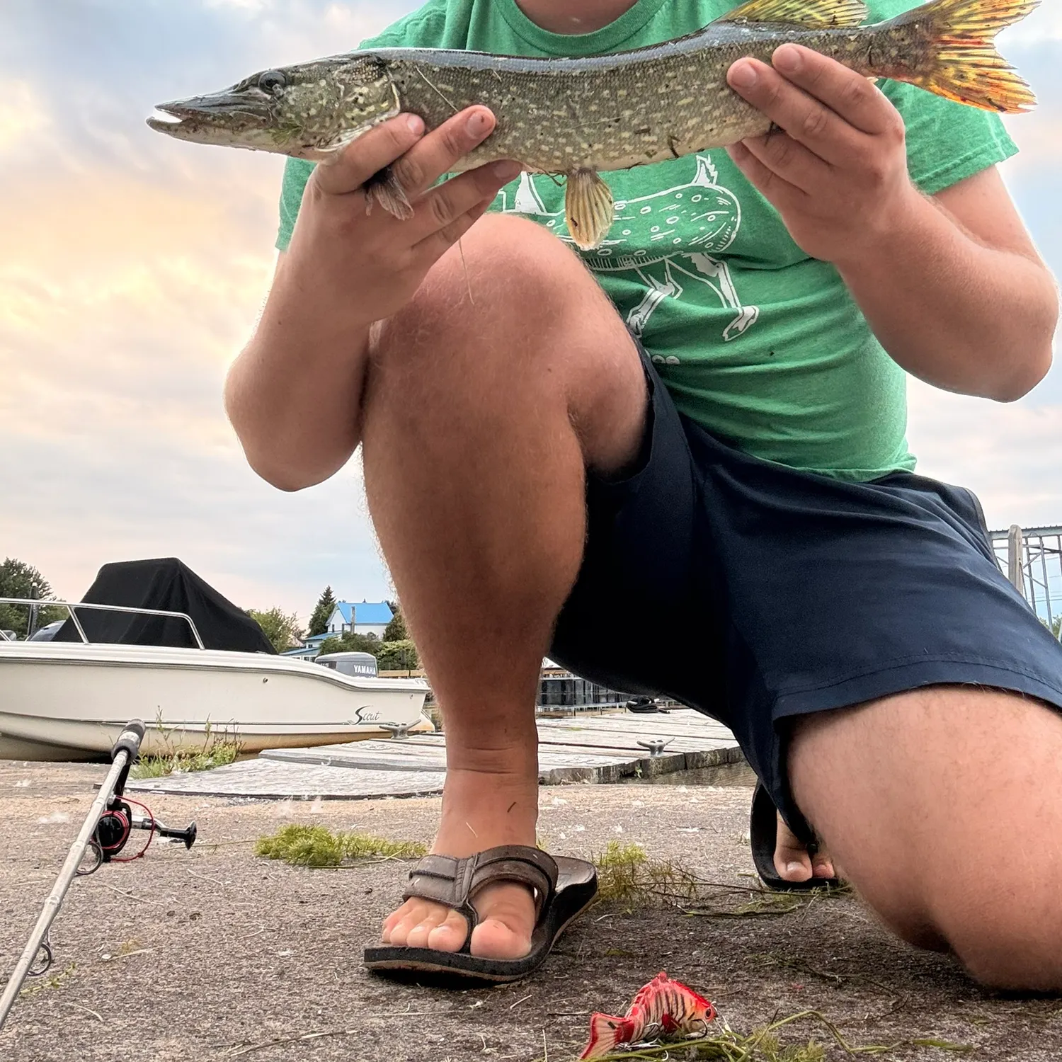 Northern pike caught on Fishbrain