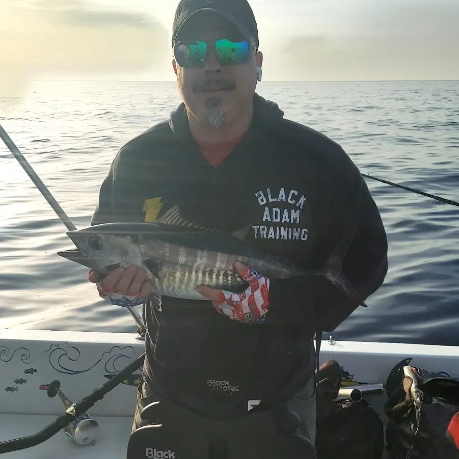 The most recent Longtail tuna catches on Fishbrain