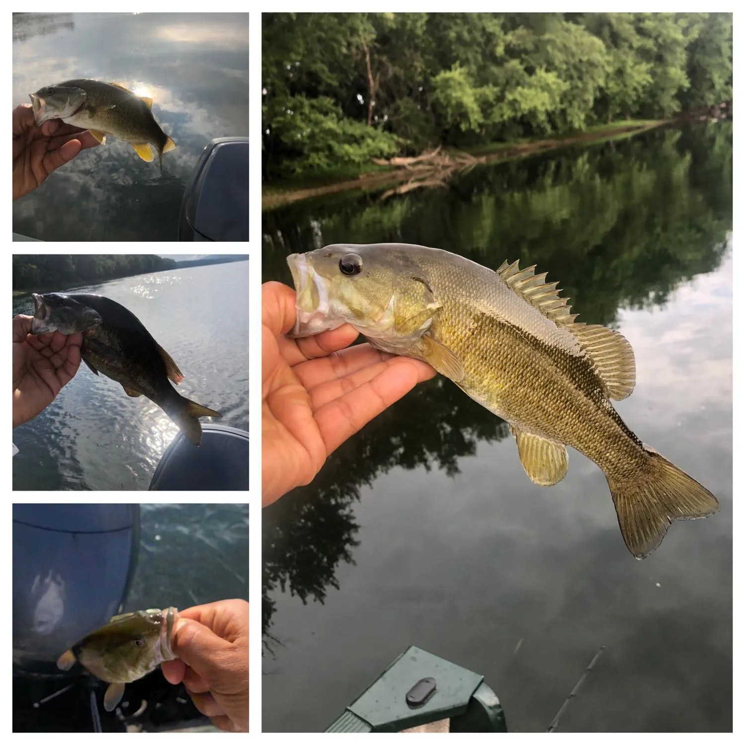 recently logged catches