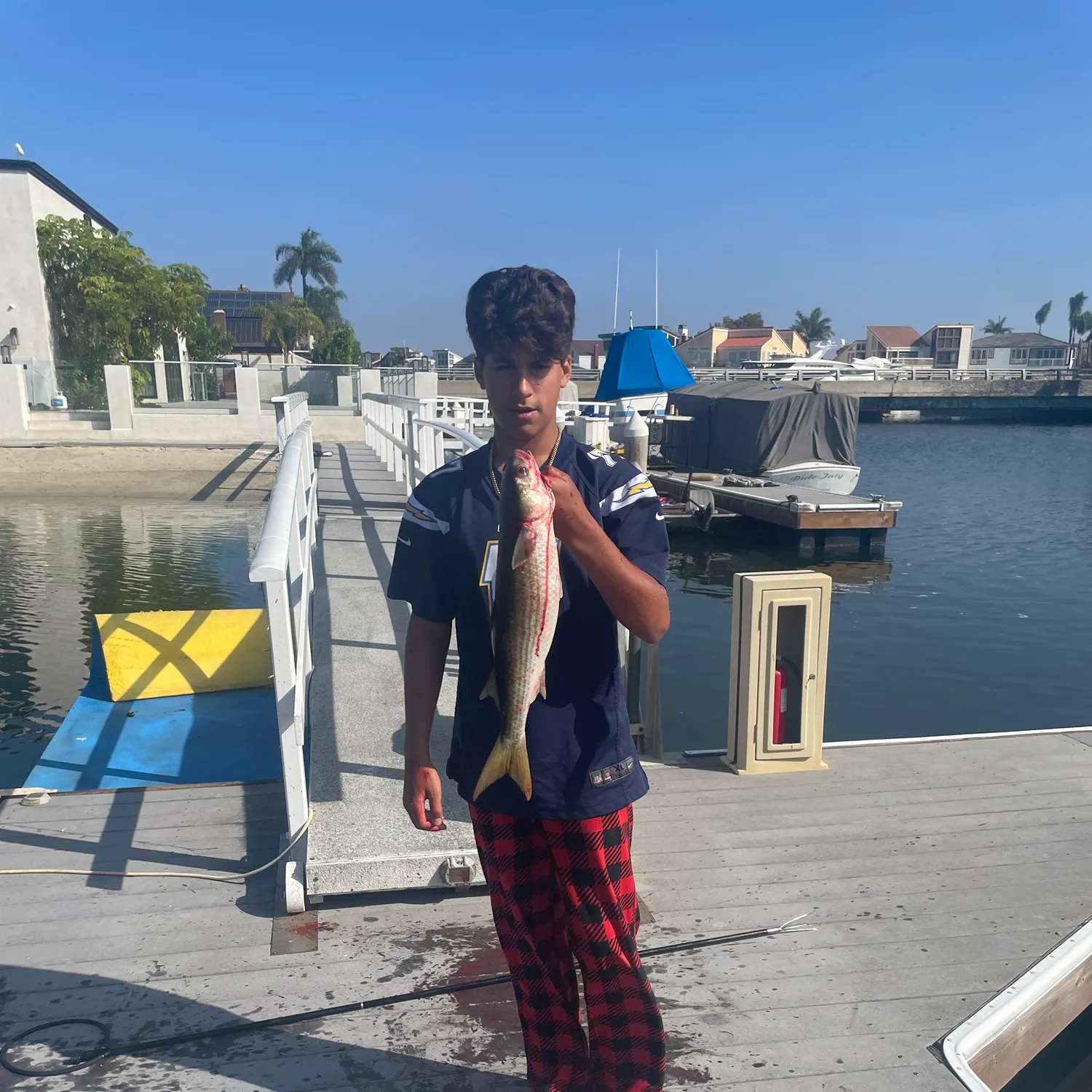 The most recent Silver mullet catches on Fishbrain