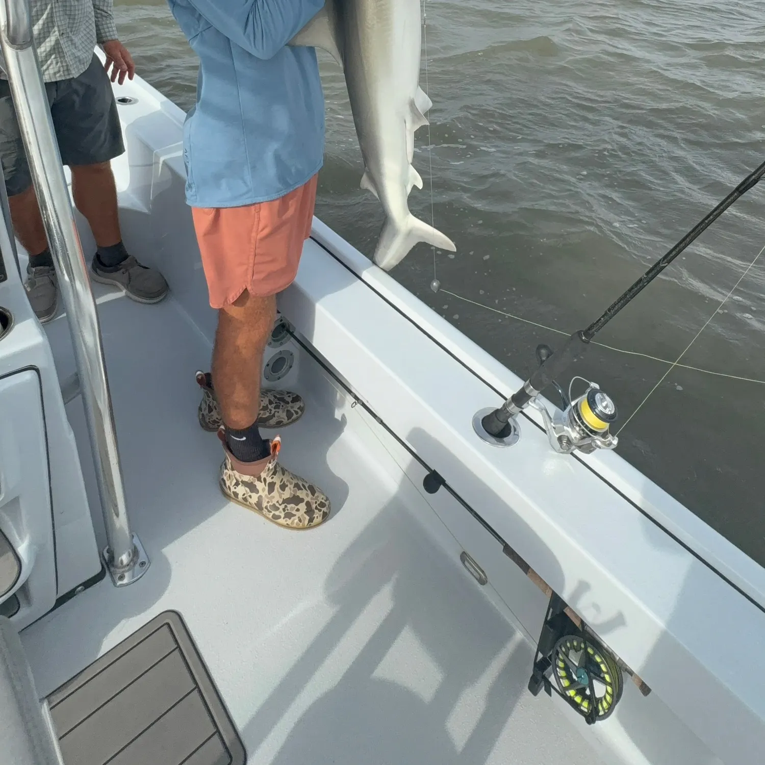 The most recent Finetooth shark catches on Fishbrain