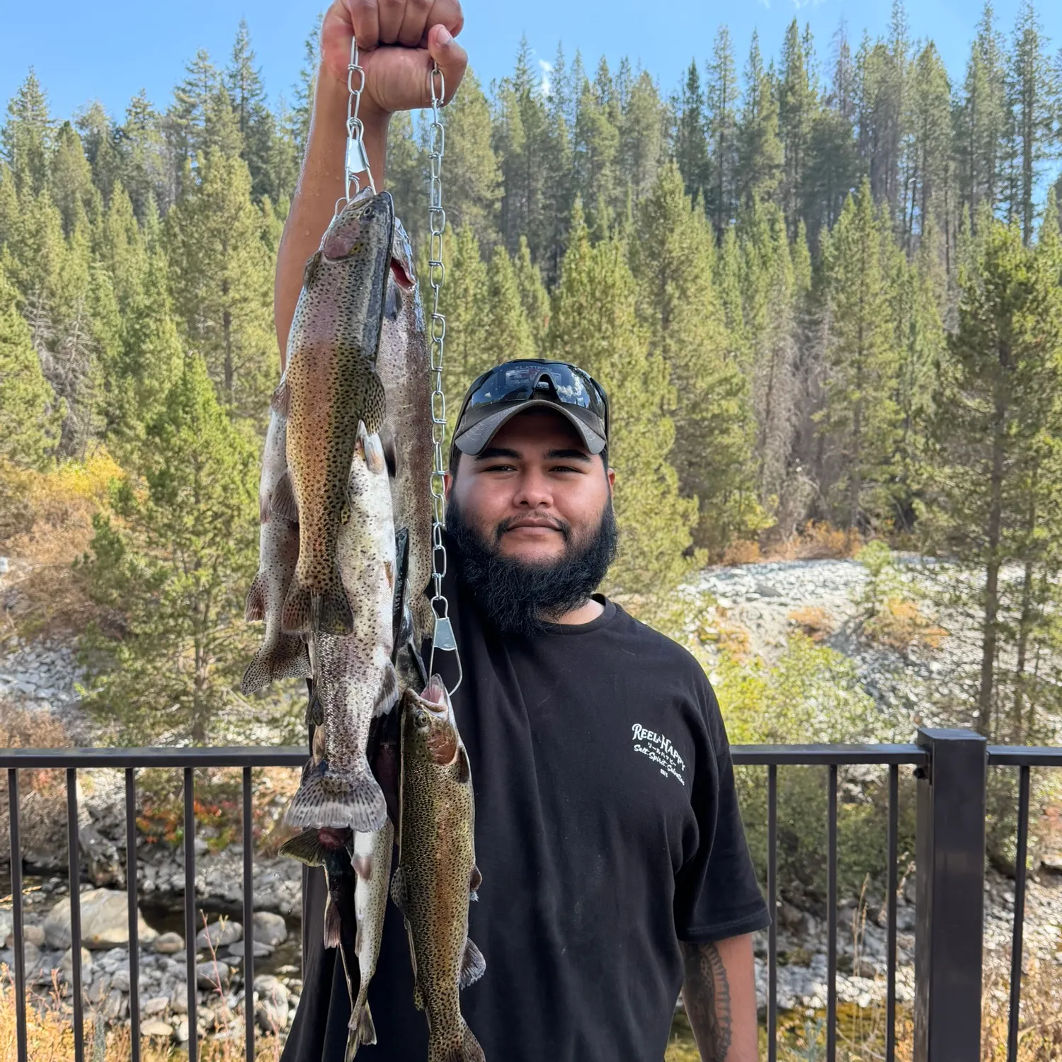 Rainbow trout caught on Fishbrain