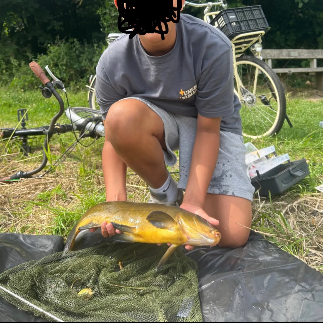 The most recent Tench catches on Fishbrain