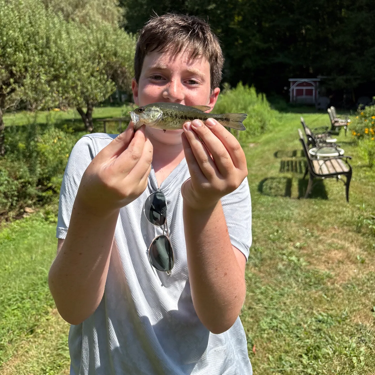 The most recent Atlantic bluefin tuna catches on Fishbrain