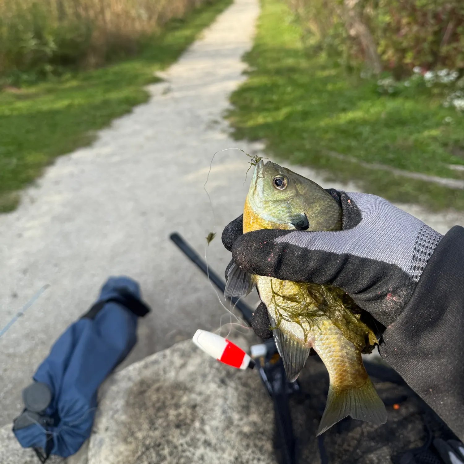 catch