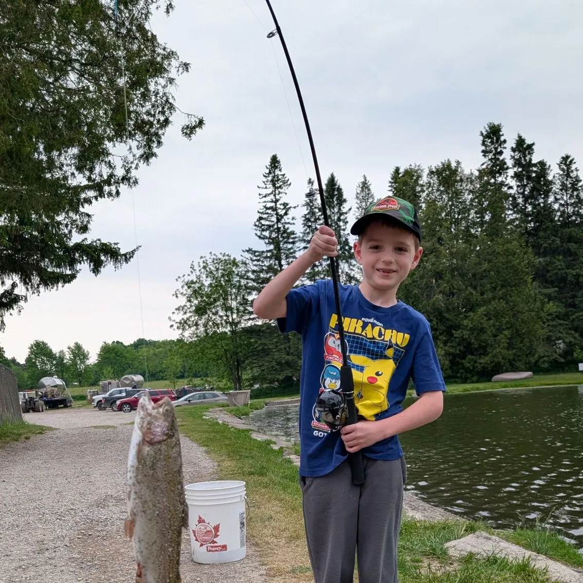 The most recent Rainbow trout catches on Fishbrain