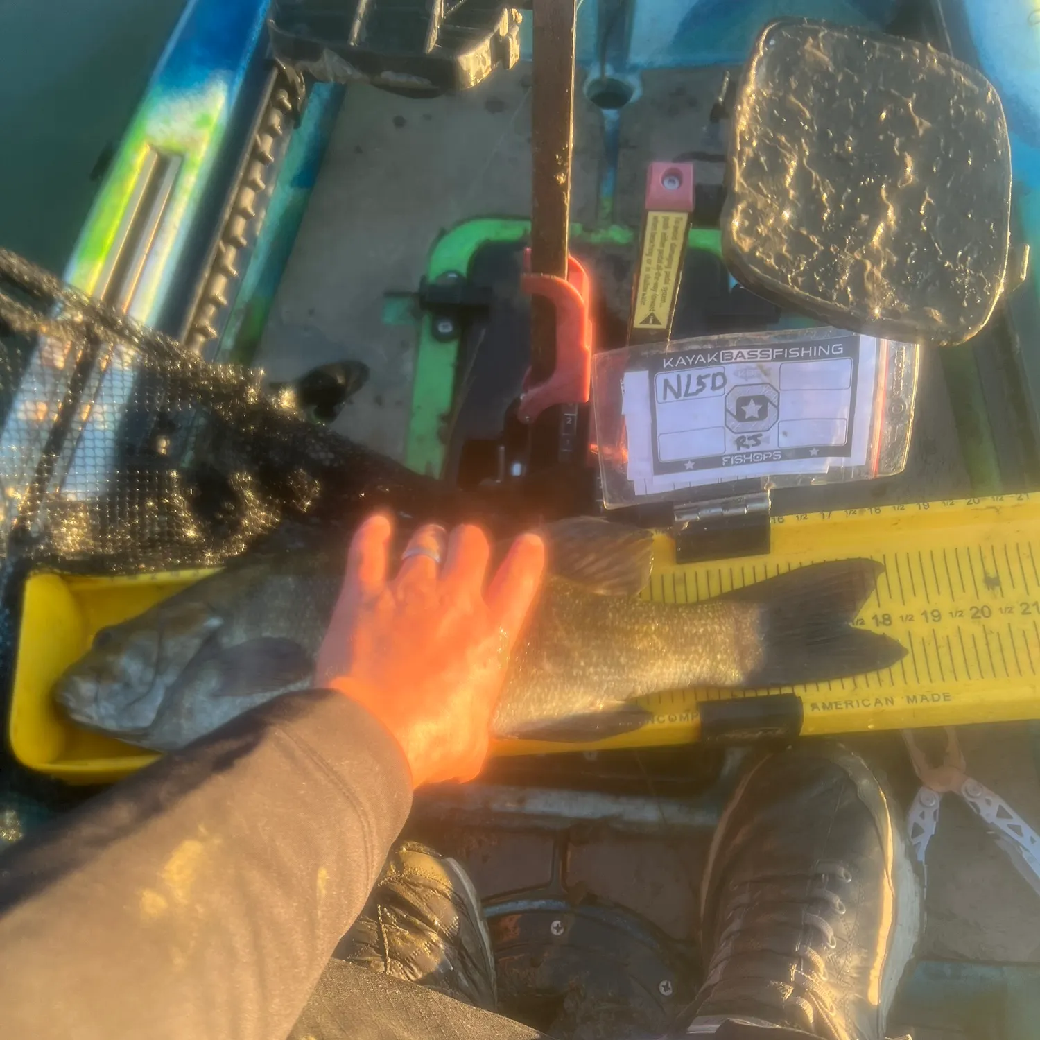 Smallmouth bass caught on Fishbrain