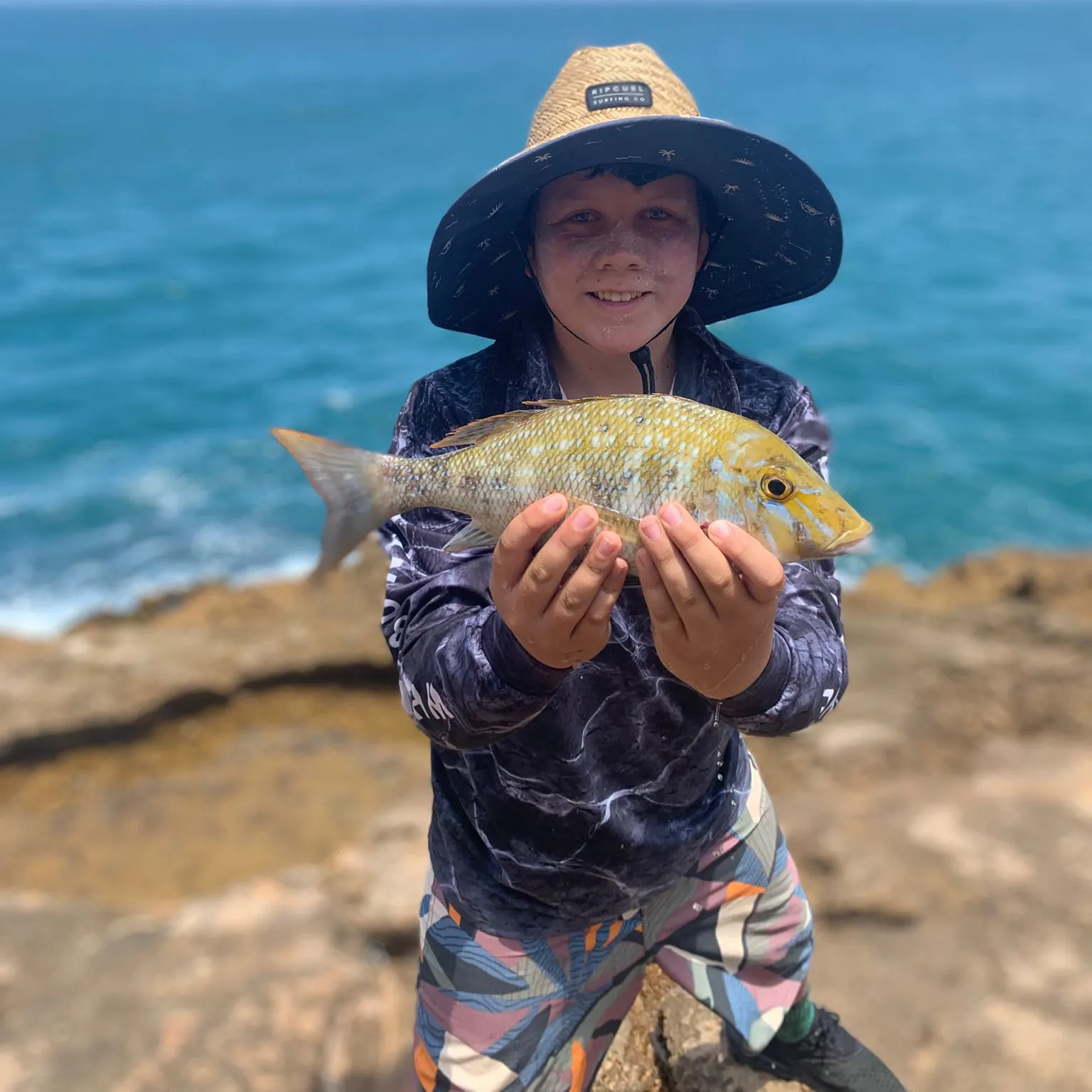 The most recent Spangled emperor catches on Fishbrain