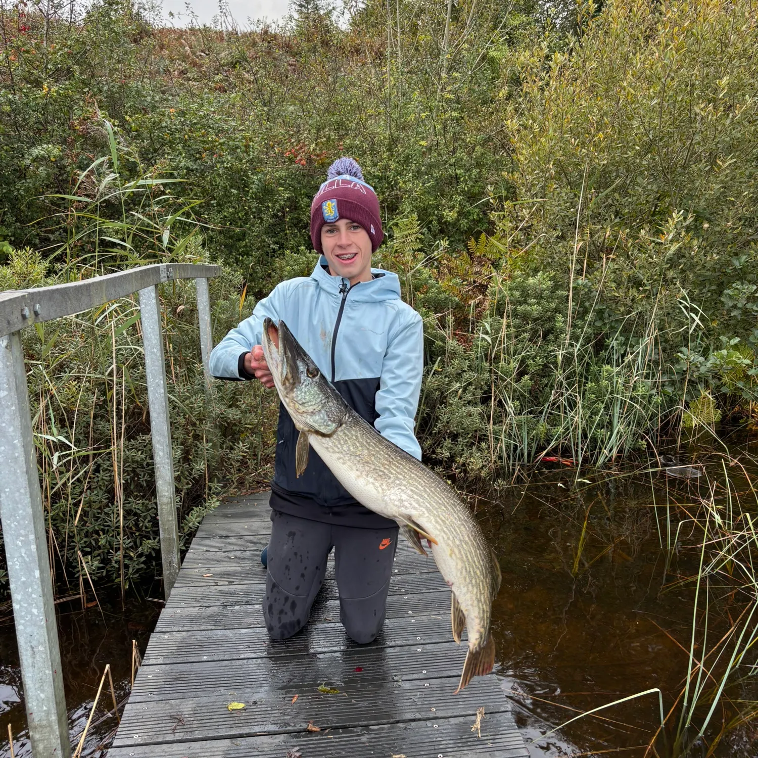 Northern pike caught on Fishbrain