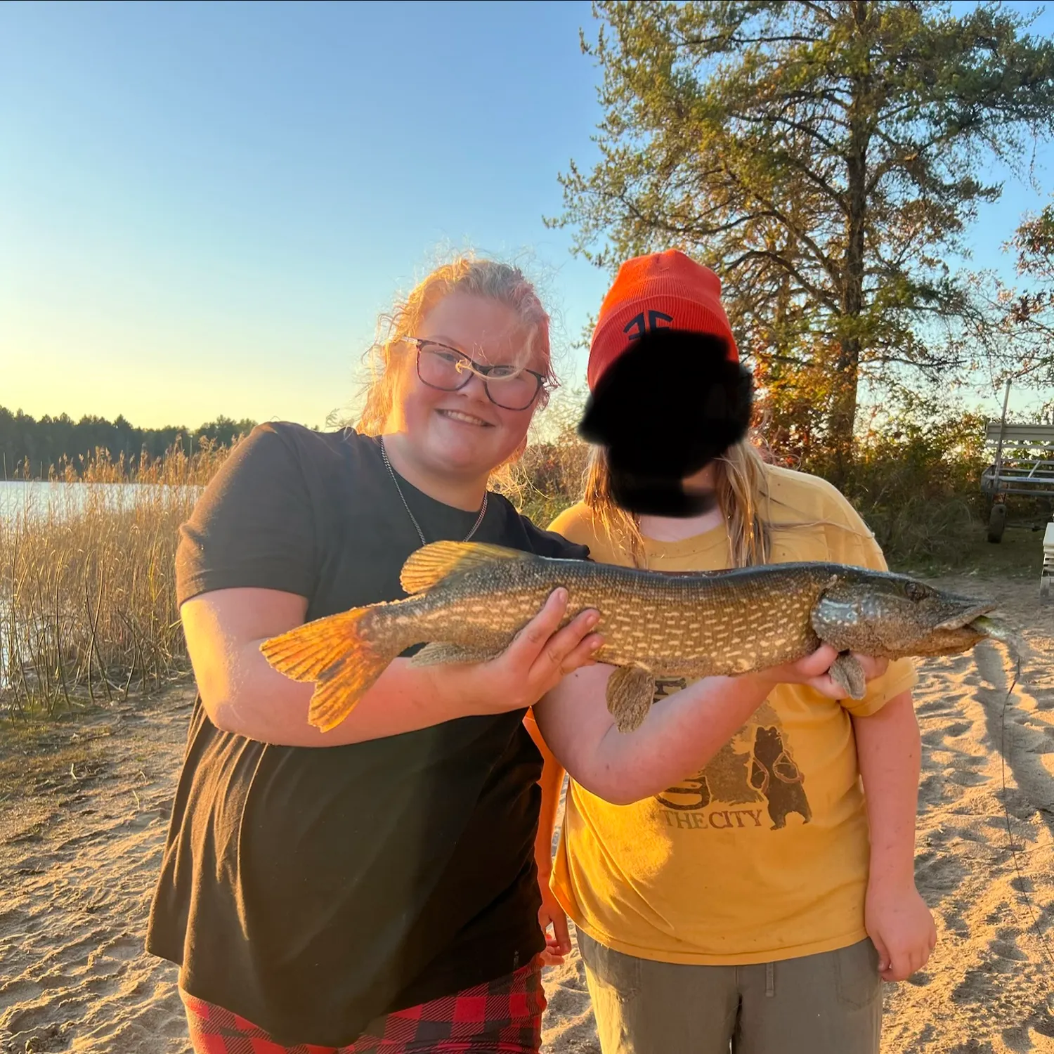 Northern pike caught on Fishbrain