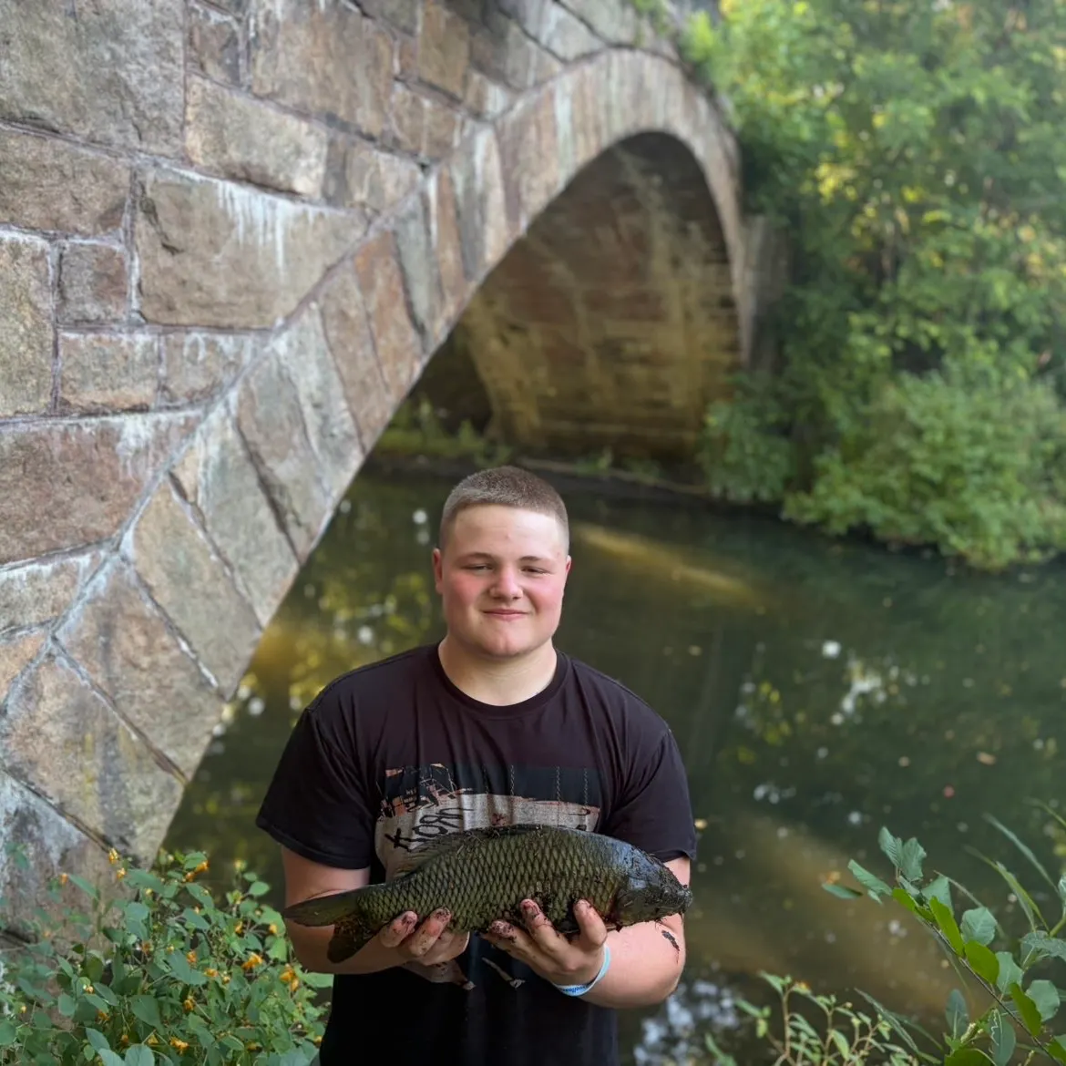 Common carp caught on Fishbrain