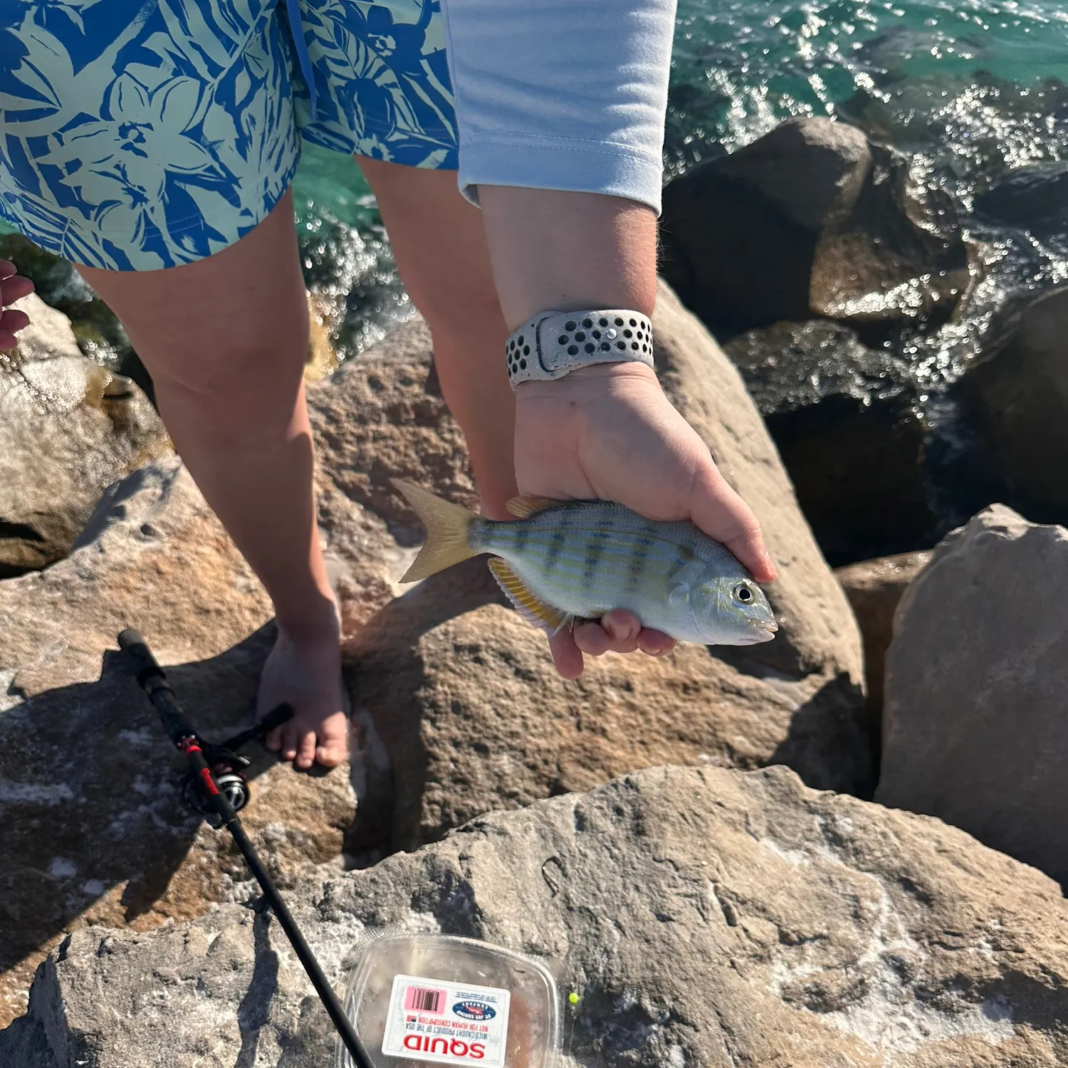 catch