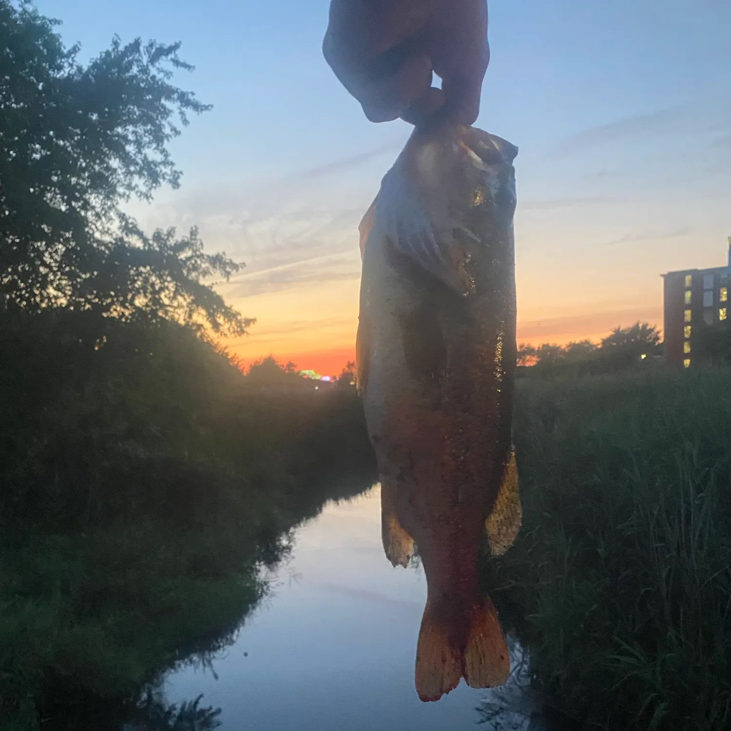 catch