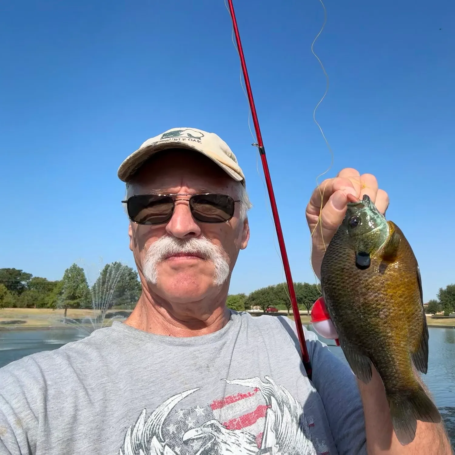 Bluegill caught on Fishbrain