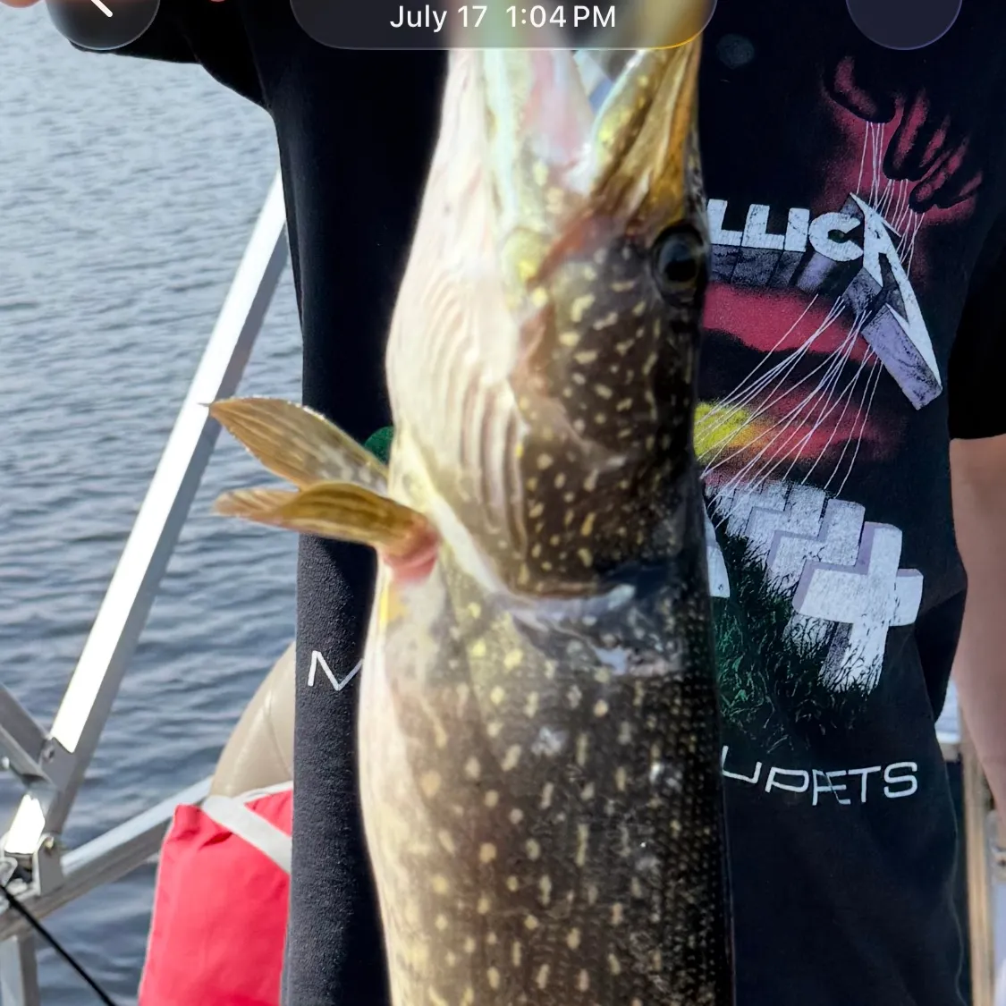 Northern pike caught on Fishbrain