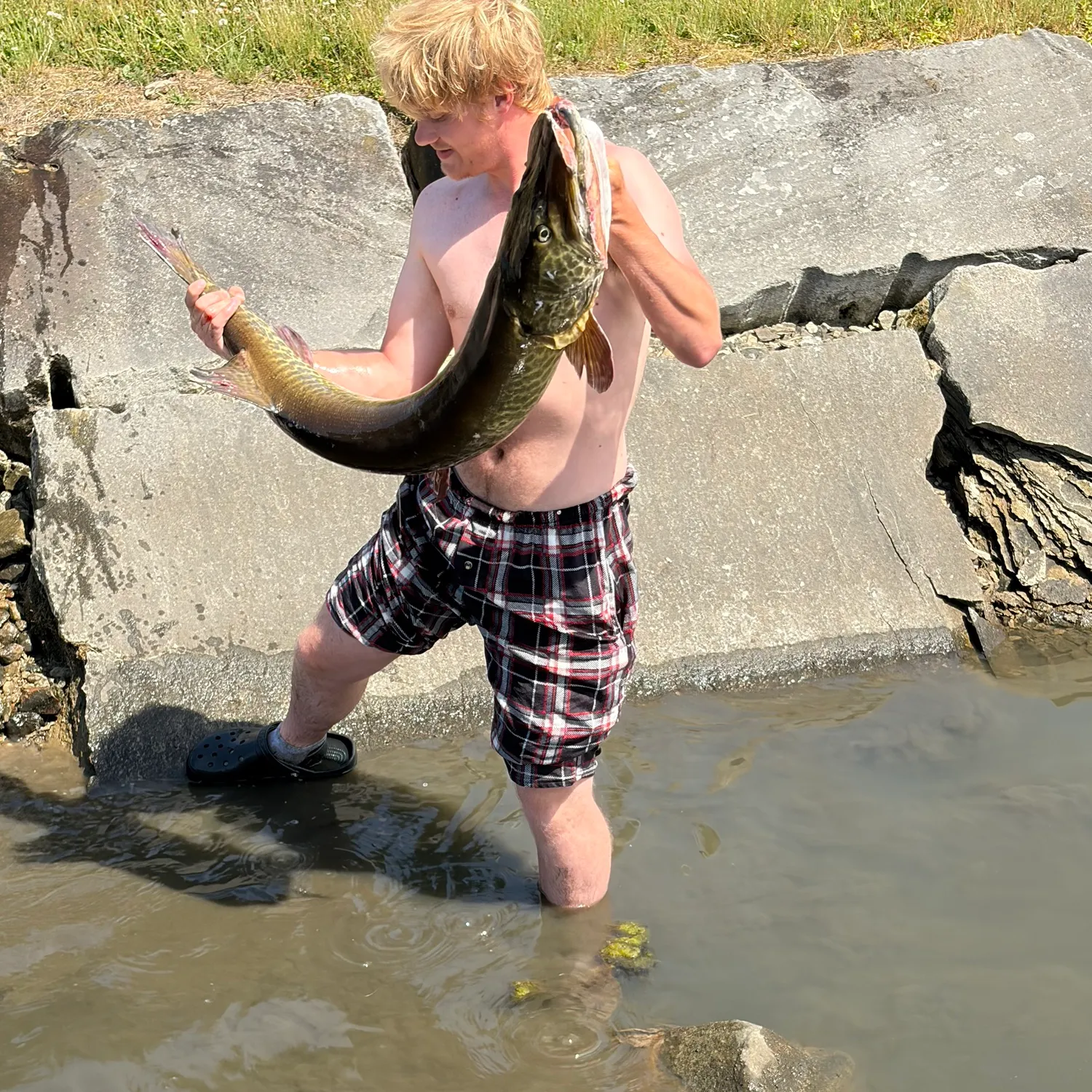 The most recent Muskellunge catches on Fishbrain