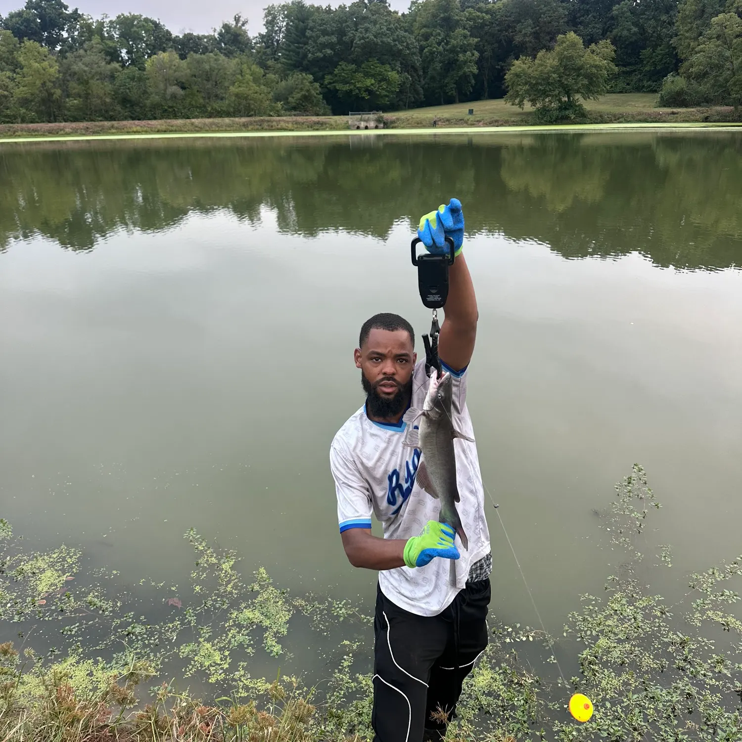 Channel catfish caught on Fishbrain