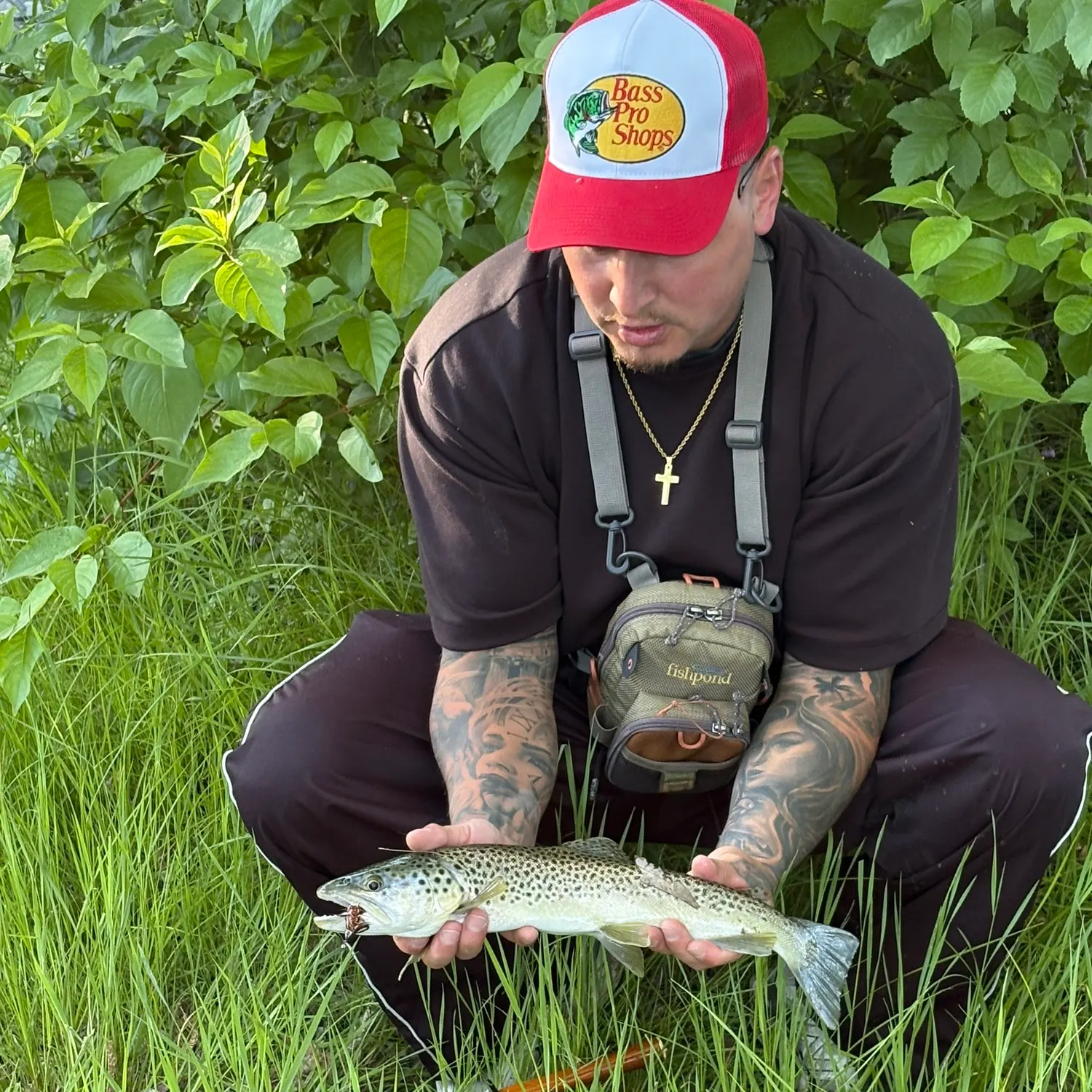 The most recent Sea trout catches on Fishbrain