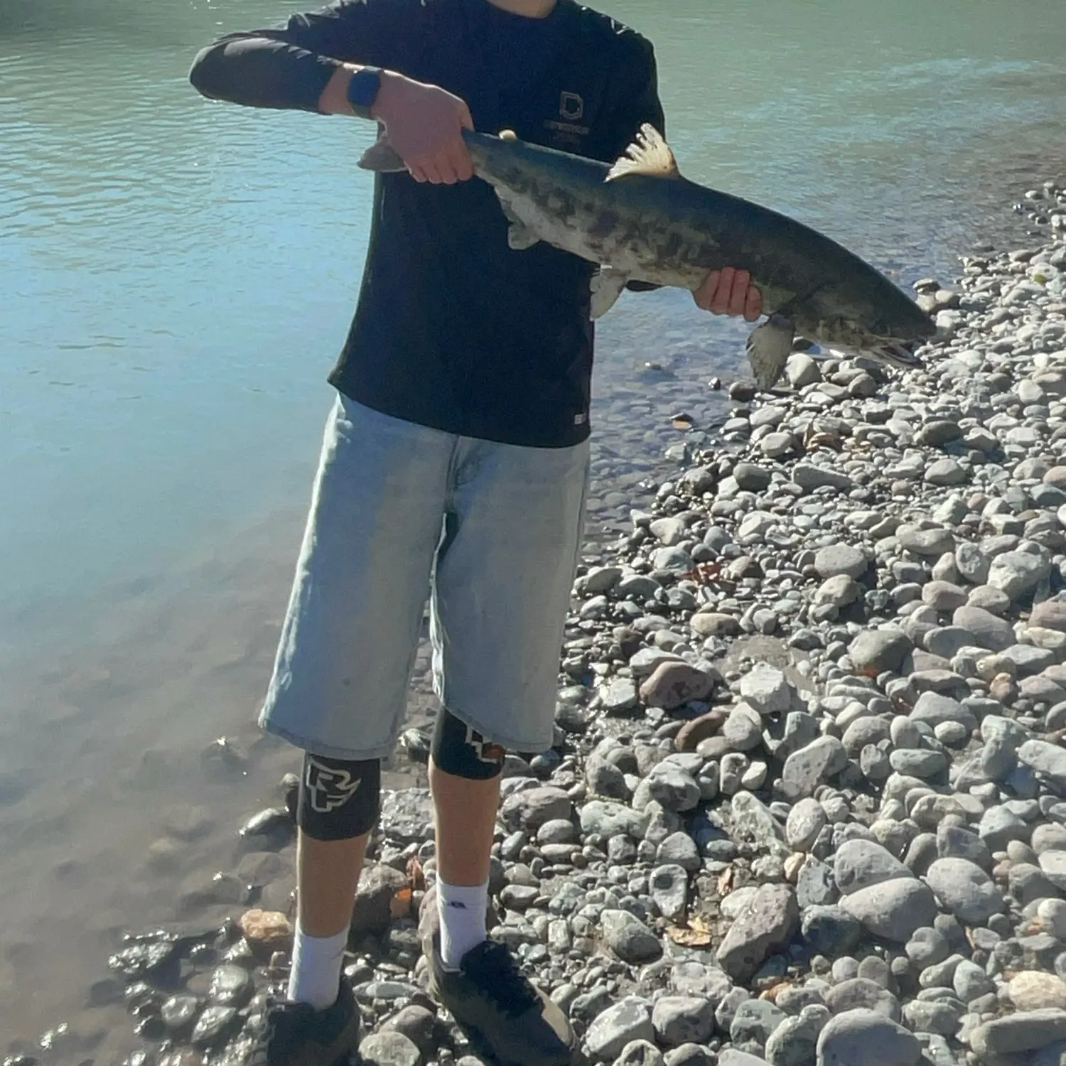 Chum salmon caught on Fishbrain