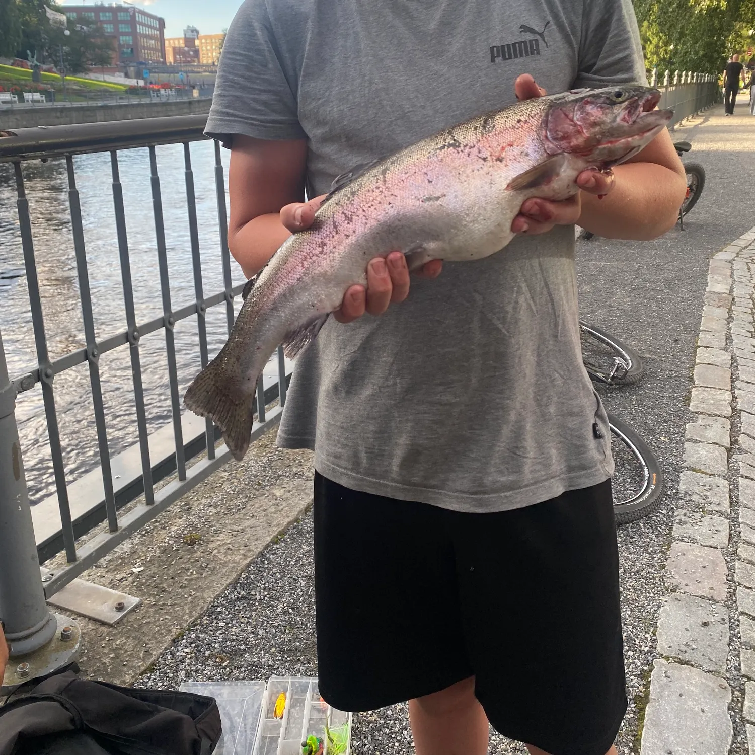 catch