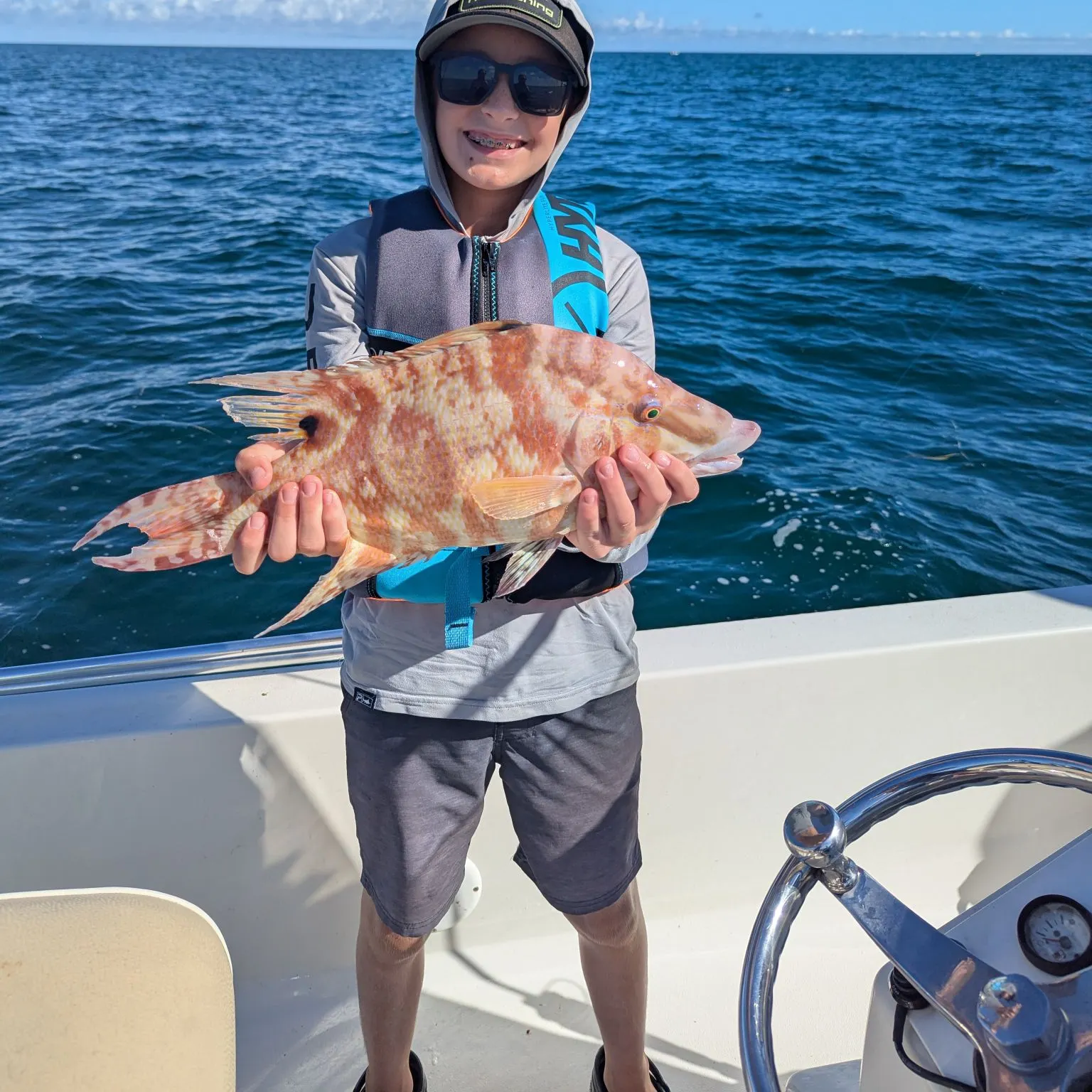 Hogfish caught on Fishbrain