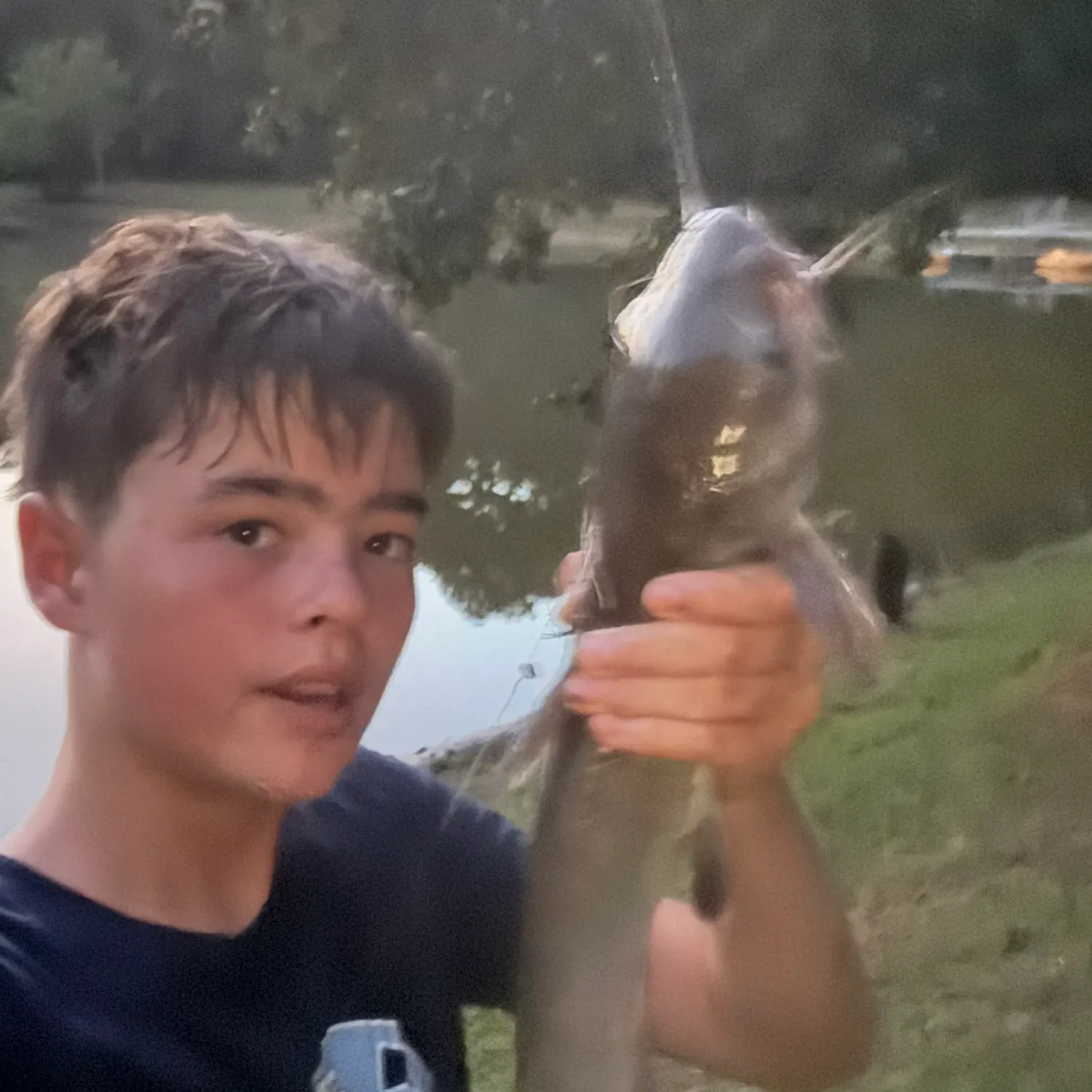 Fish caught on Fishbrain