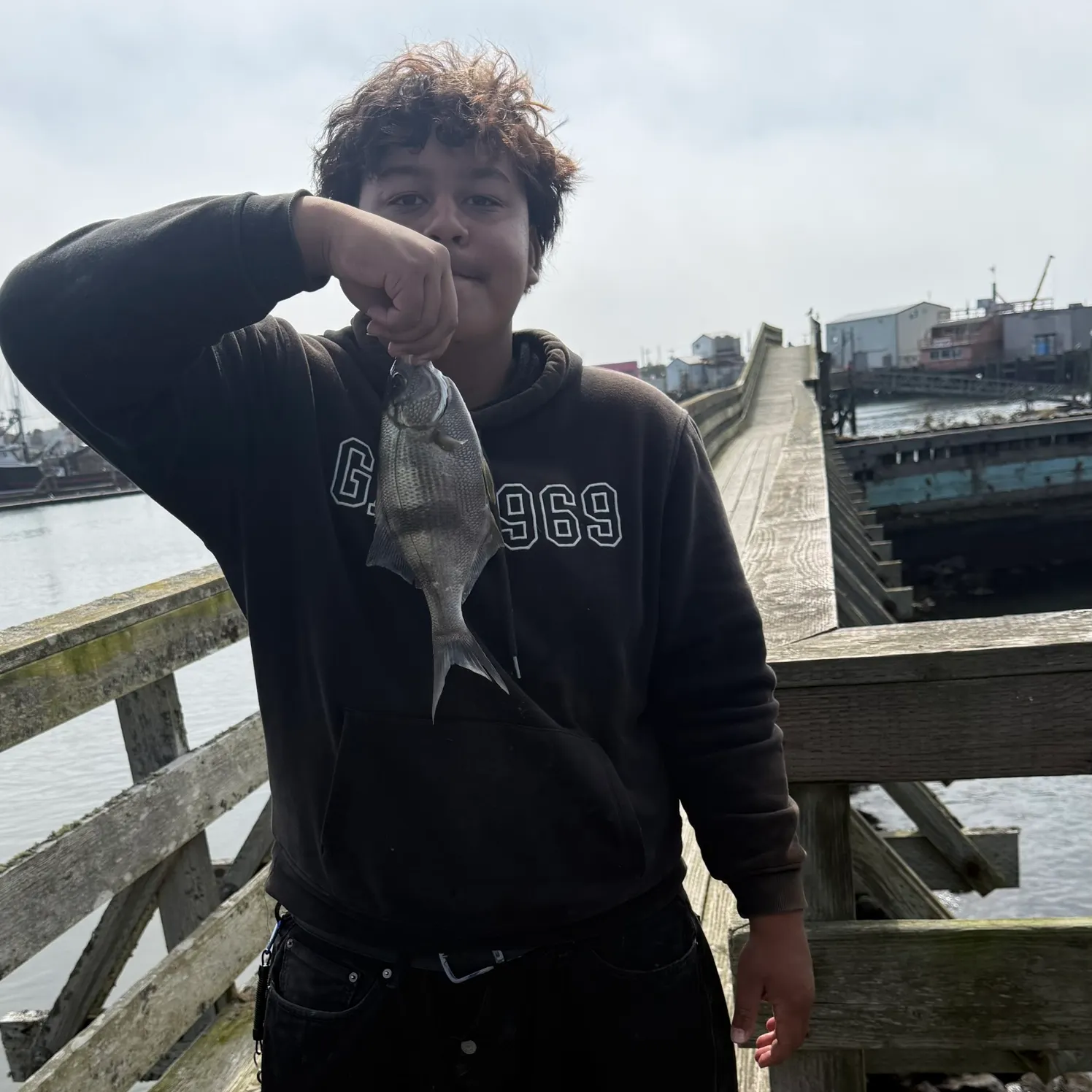 The most recent Striped seaperch catches on Fishbrain