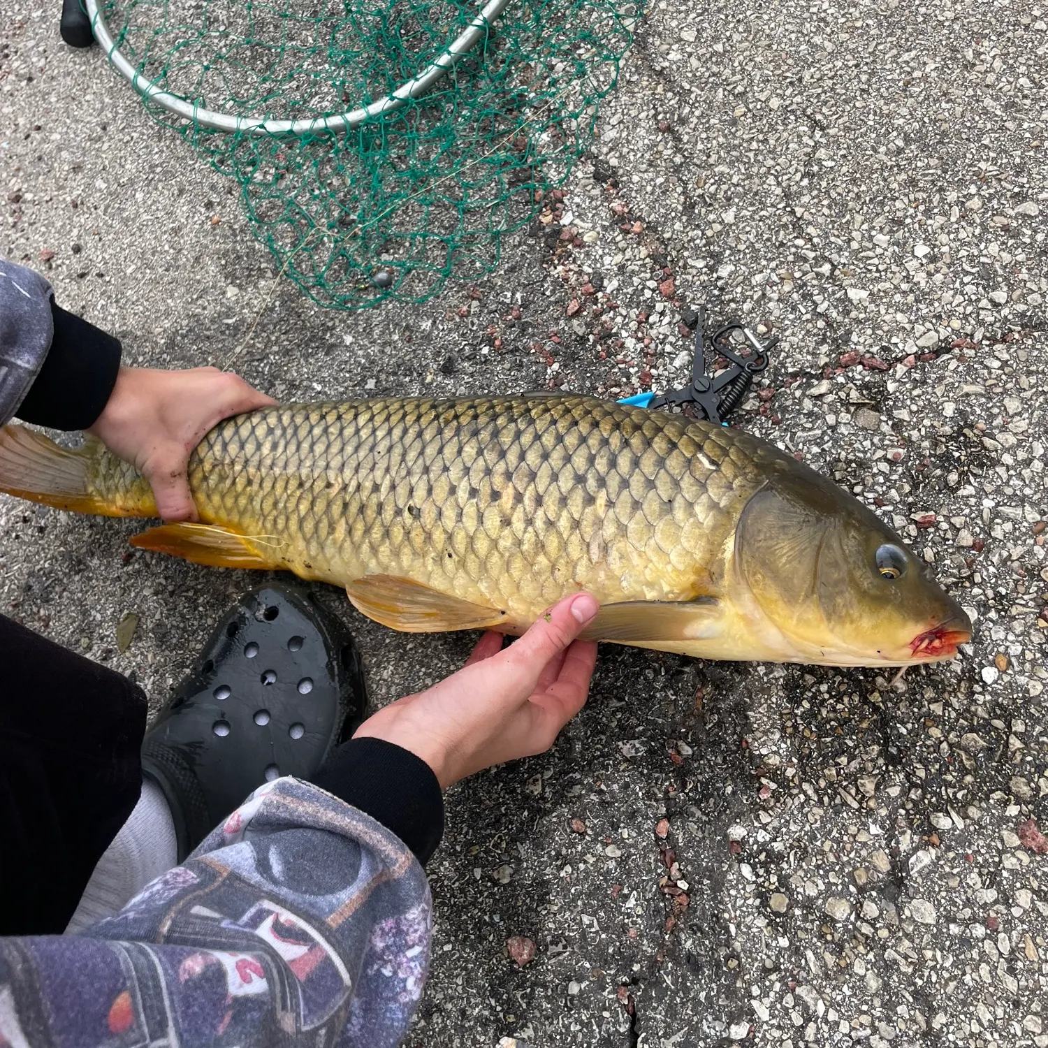 catch